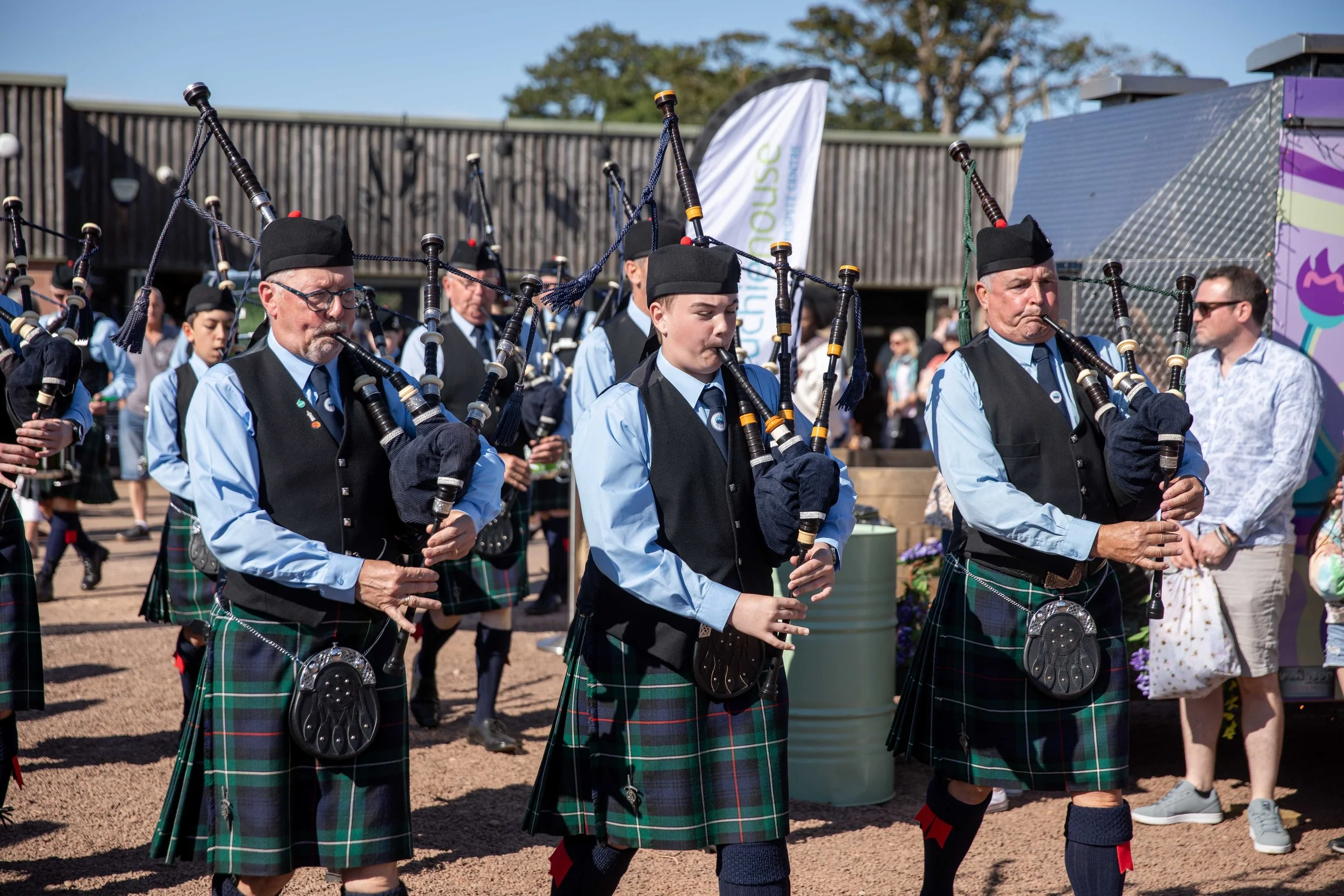 Hops in the garden 2023-18.jpg