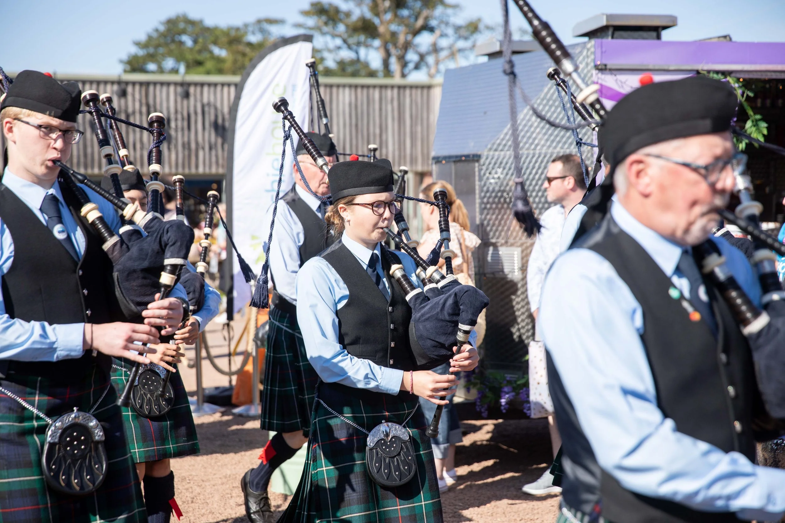 Hops in the garden 2023-19.jpg