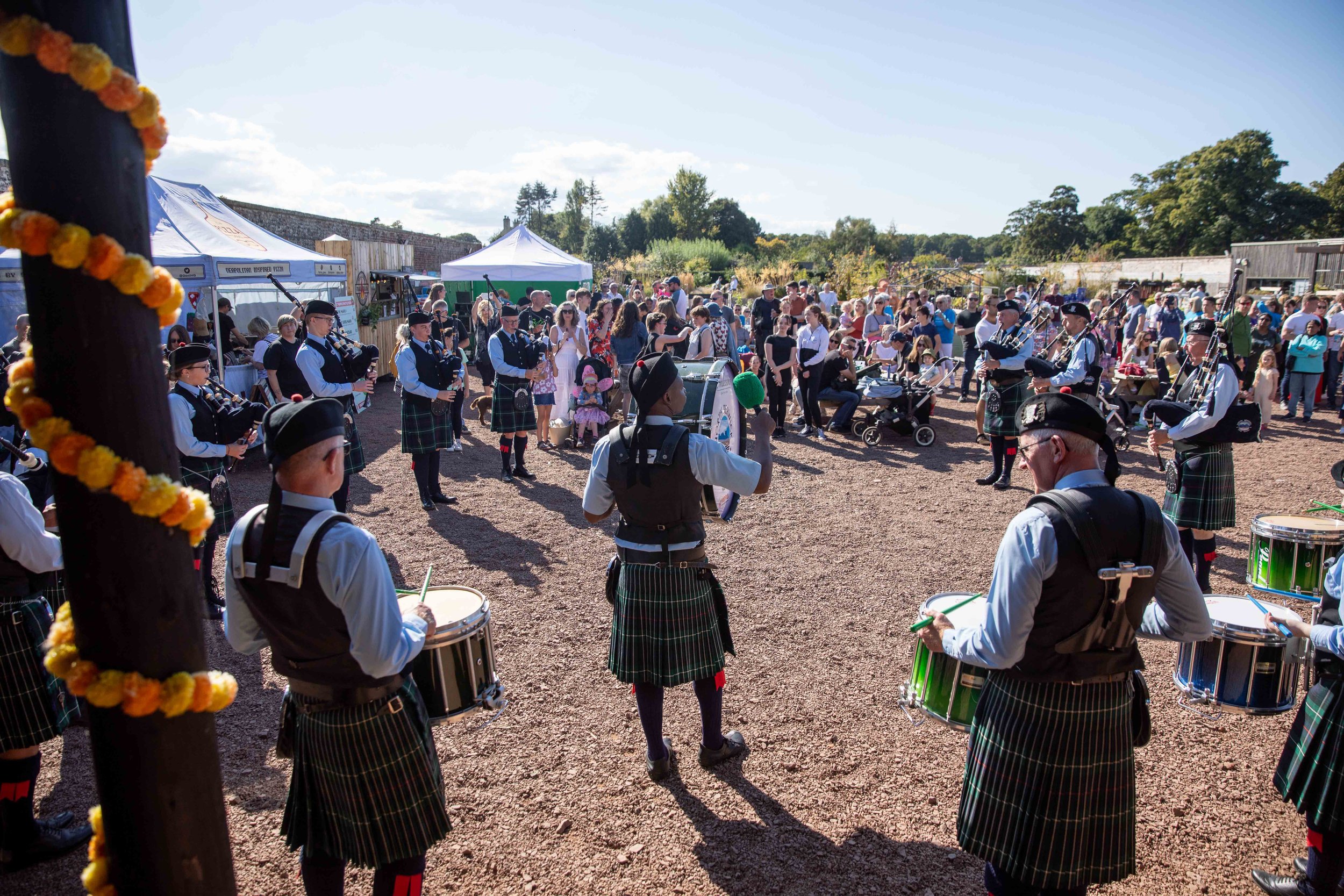 Hops in the garden 2023-22.jpg