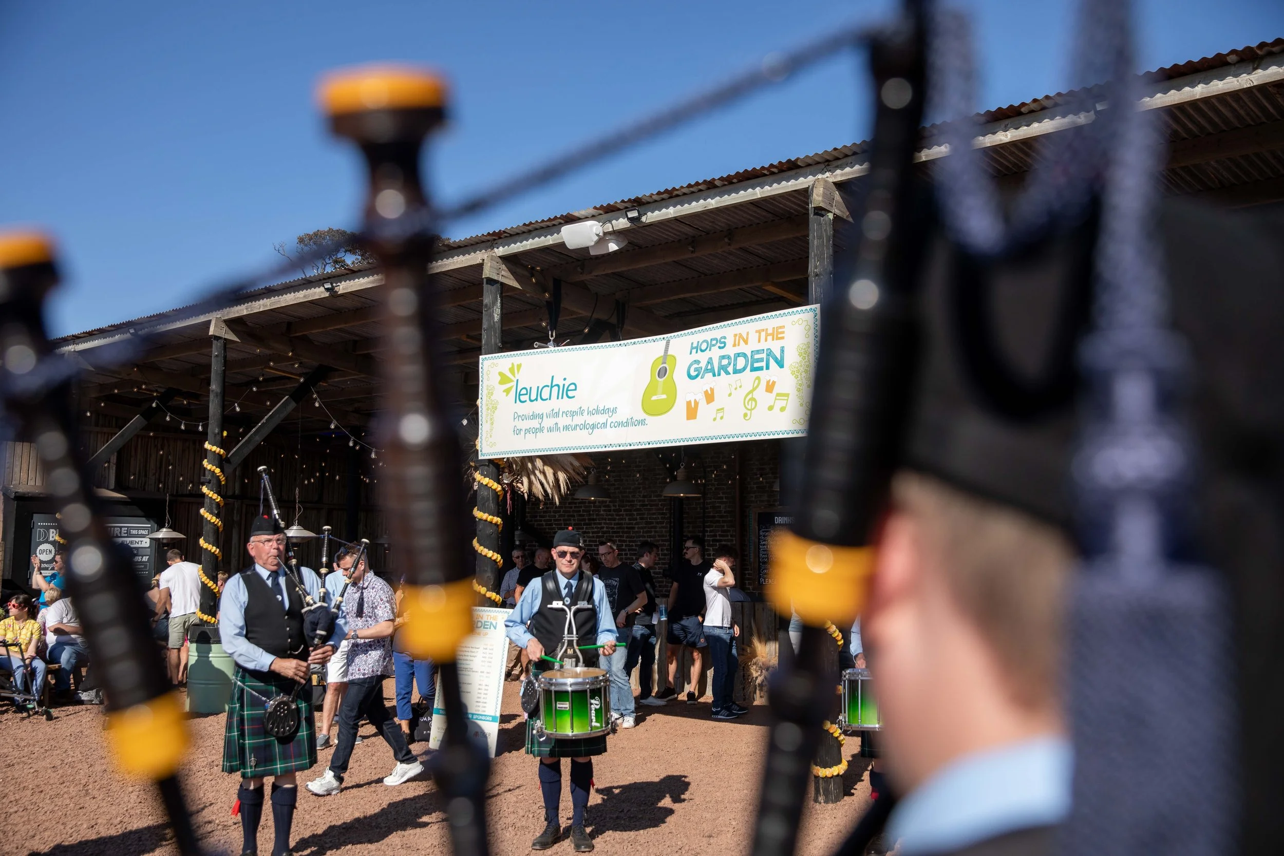 Hops in the garden 2023-25.jpg