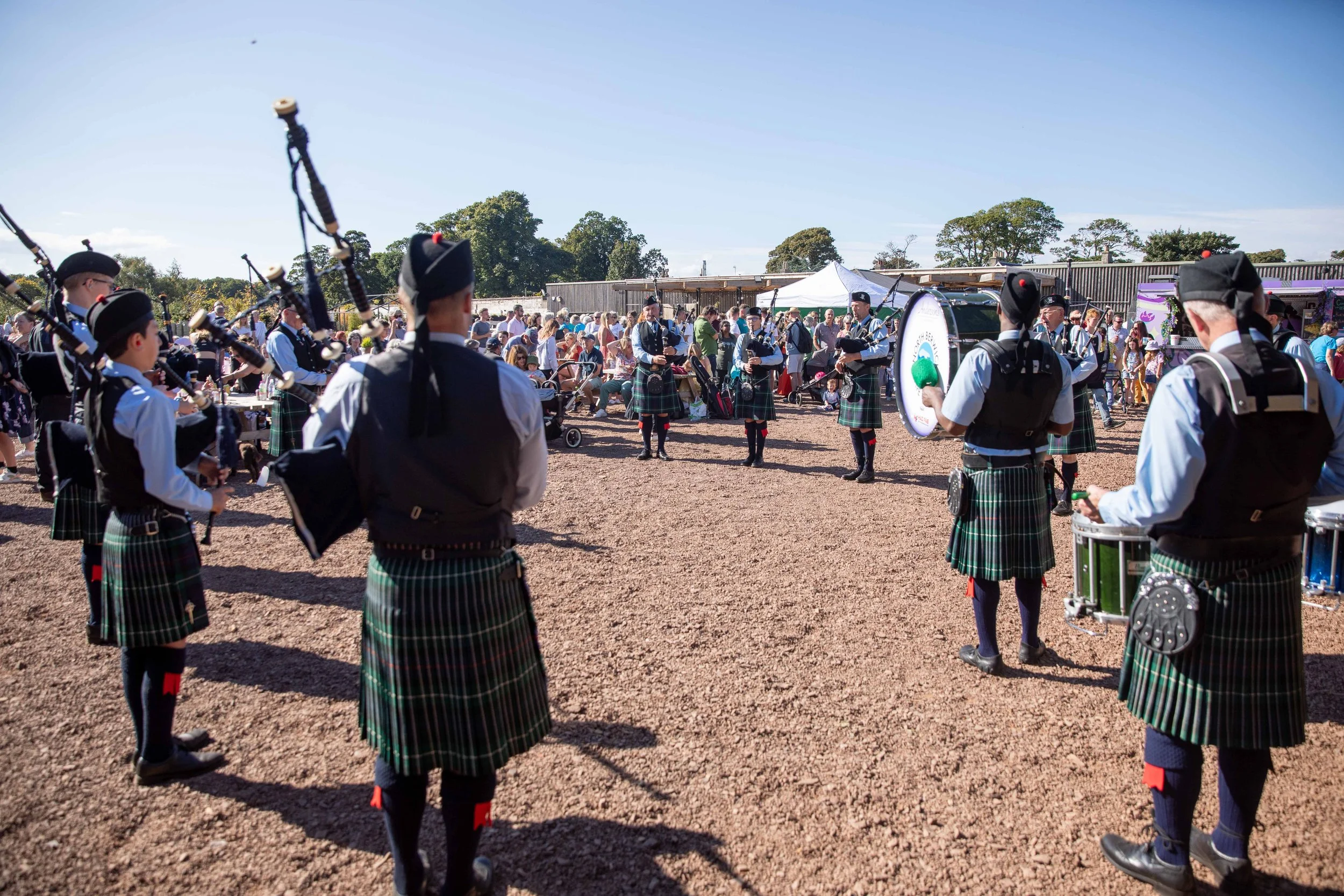 Hops in the garden 2023-26.jpg