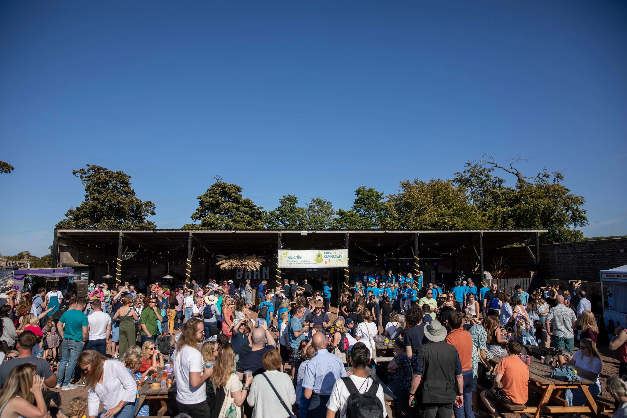 Hops in the garden 2023-28.jpg