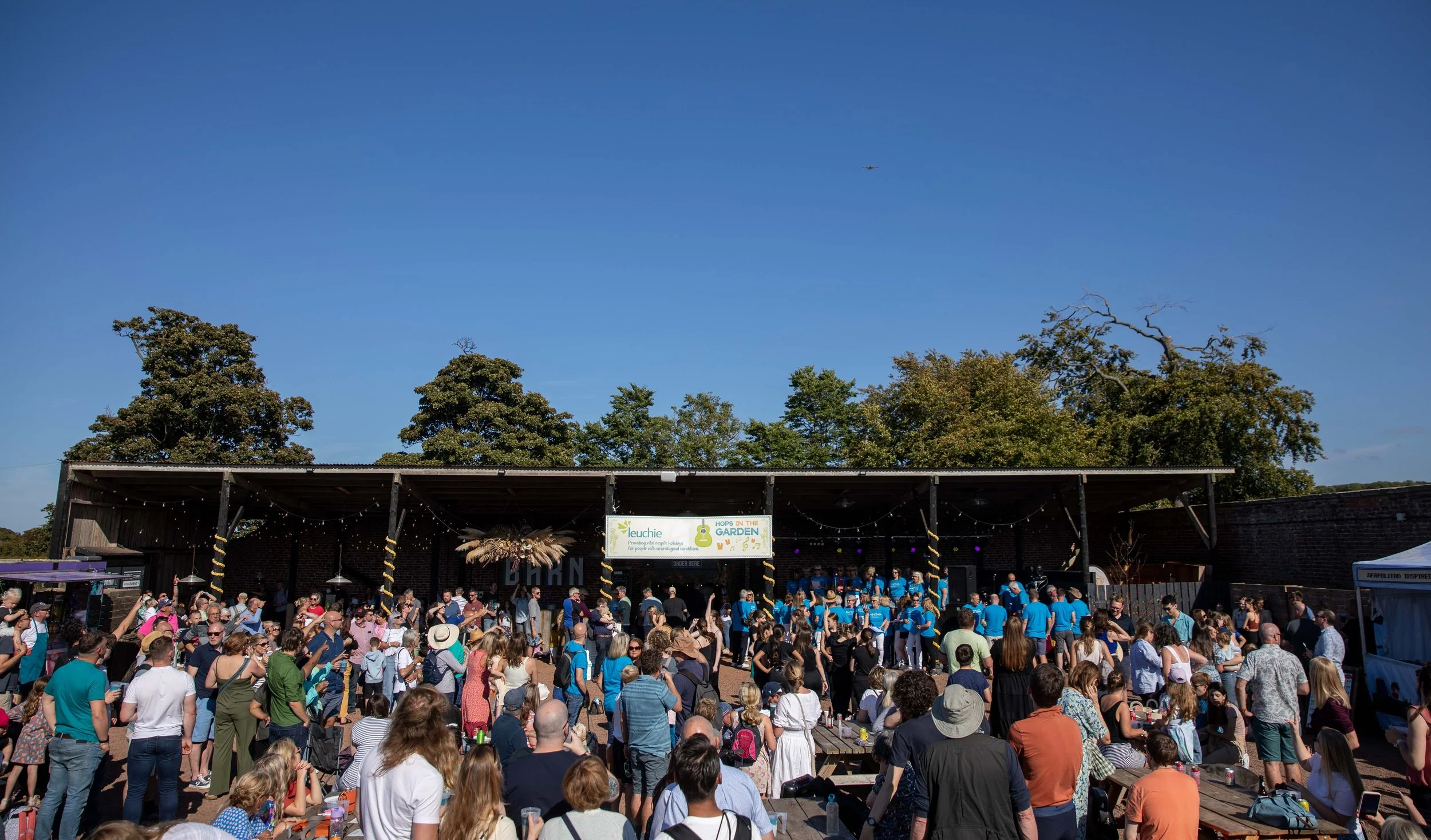 Hops in the garden 2023-29.jpg