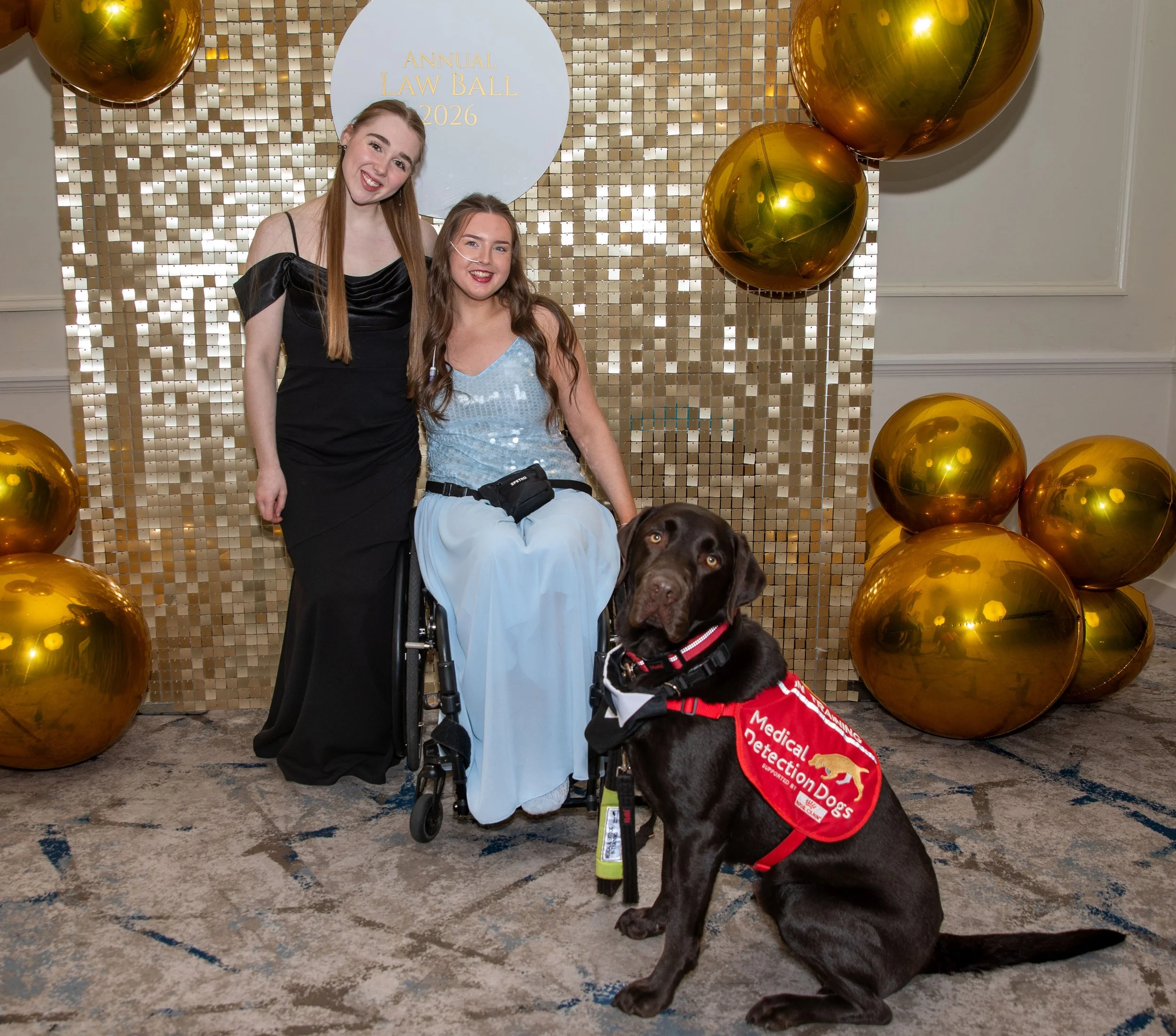SLS Ball 202618.jpg