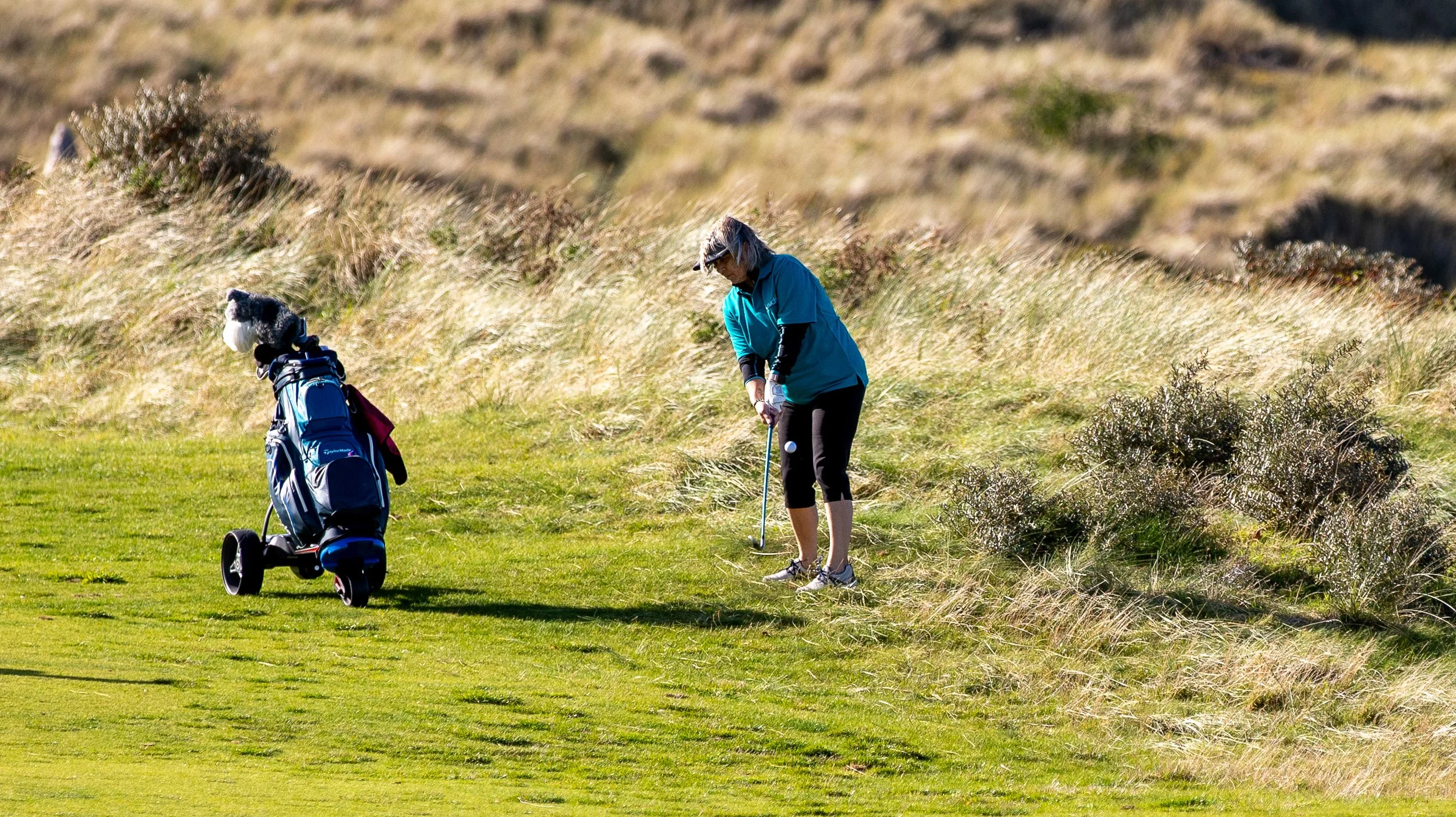Gourmet Golf 2026-192.jpg