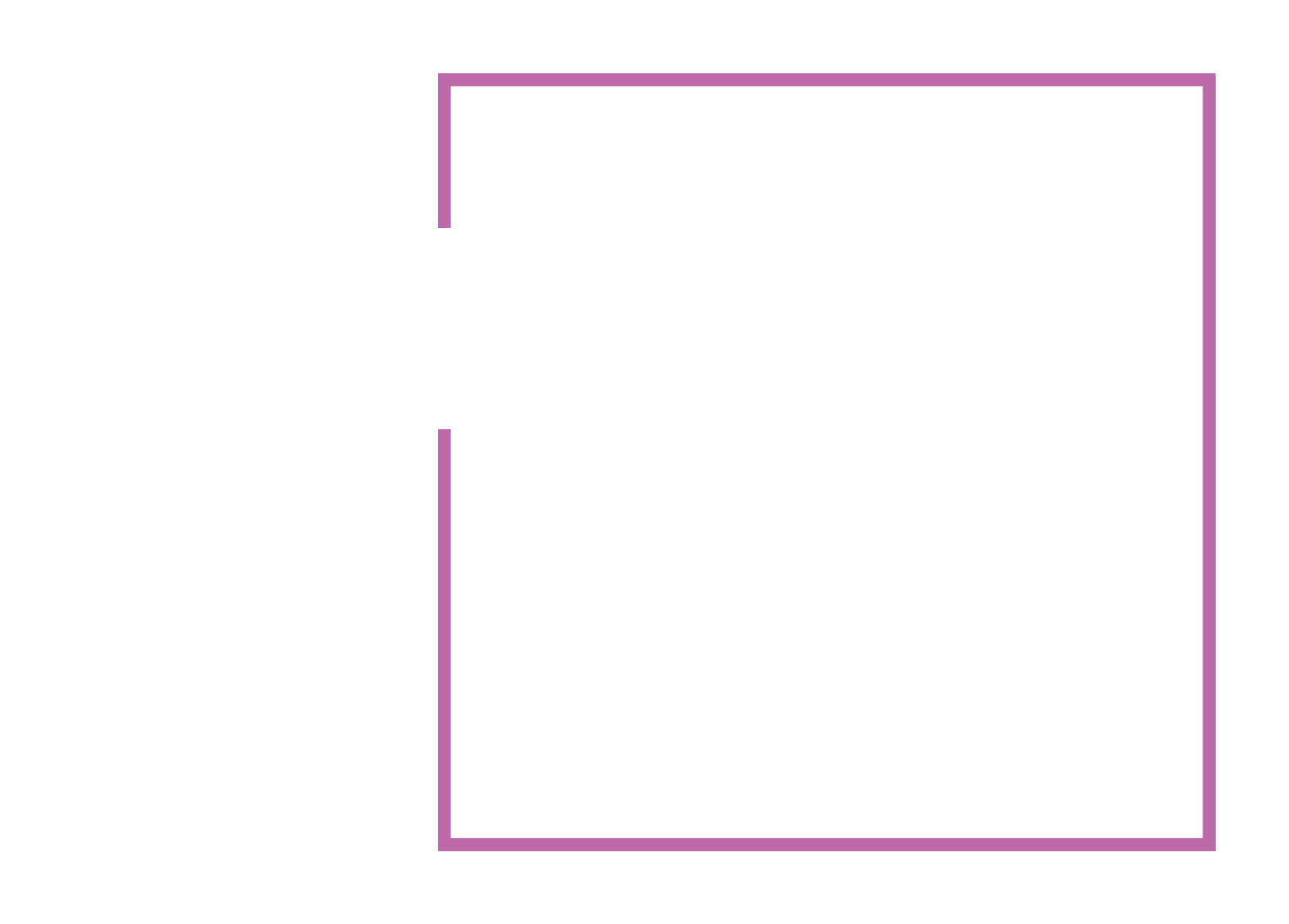 PERFORMANCE &amp; STRENGTH COACH