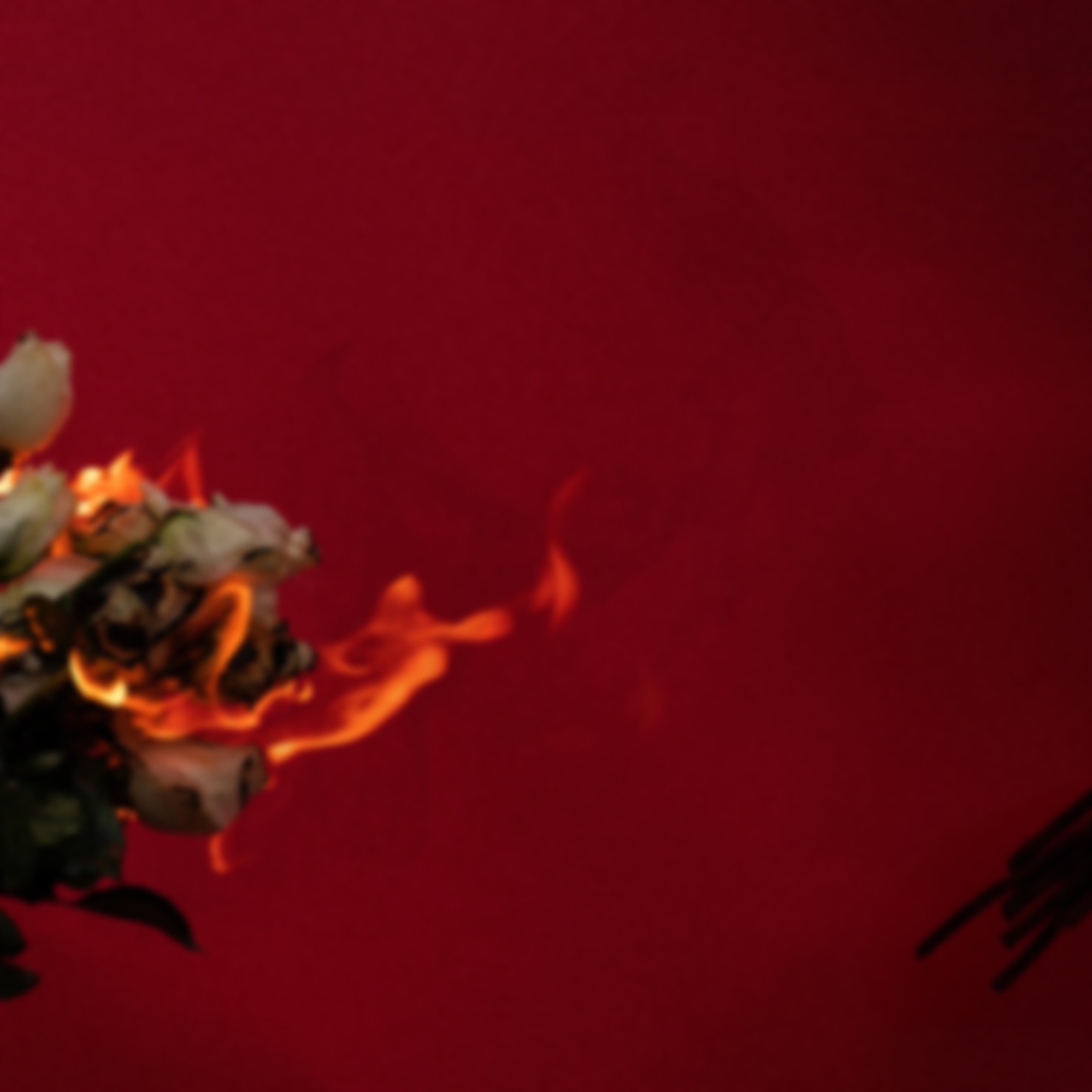 AIME+FLOWERS+FINAL-no+text+copy.jpg