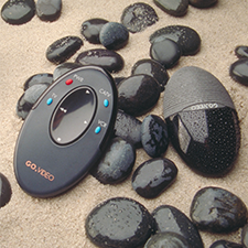 GO VIDEO FORM FOLLOWS NATURE Palmate- a remote inspired by ocean rocks. 