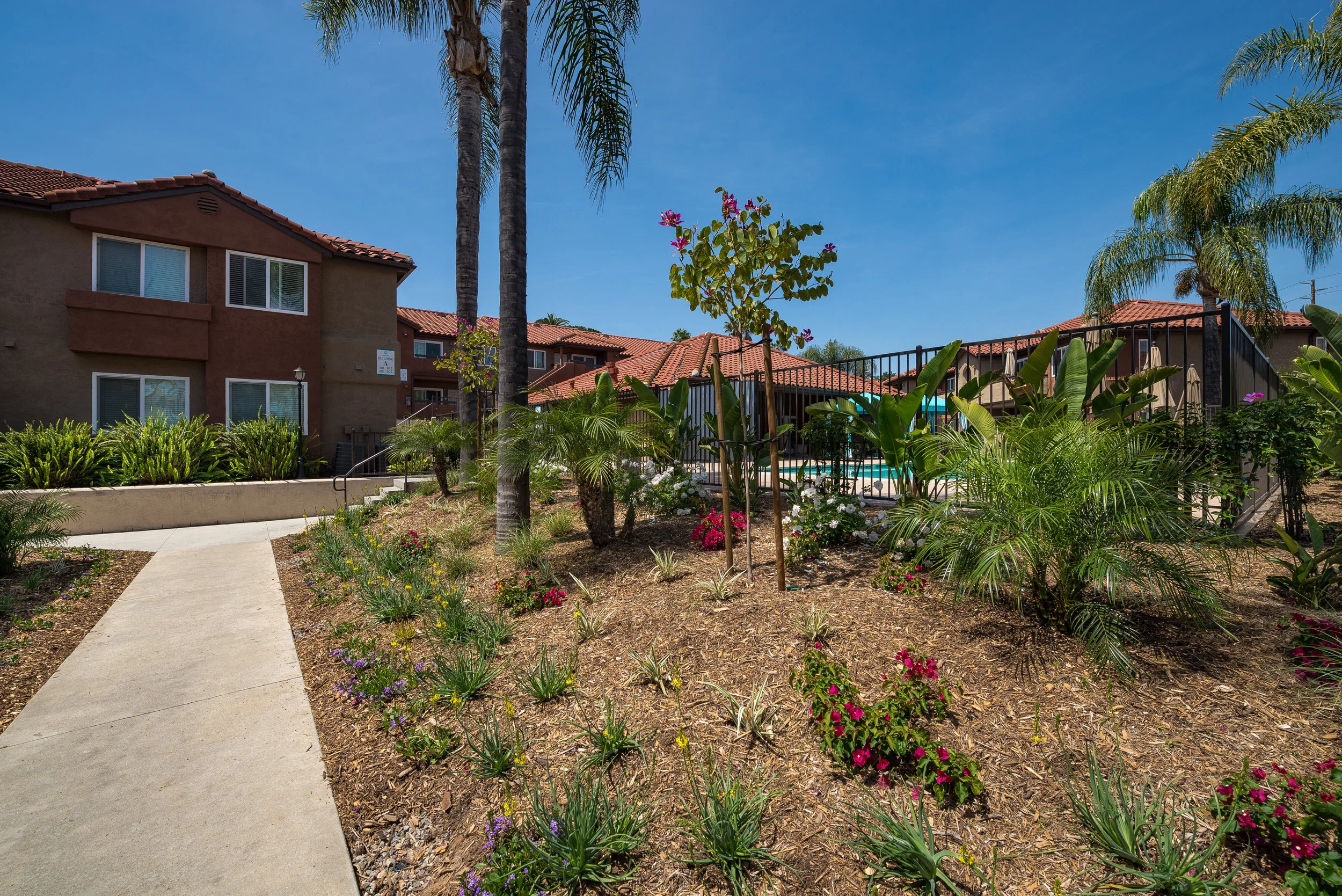 Artesia-Pool Walkway.jpg