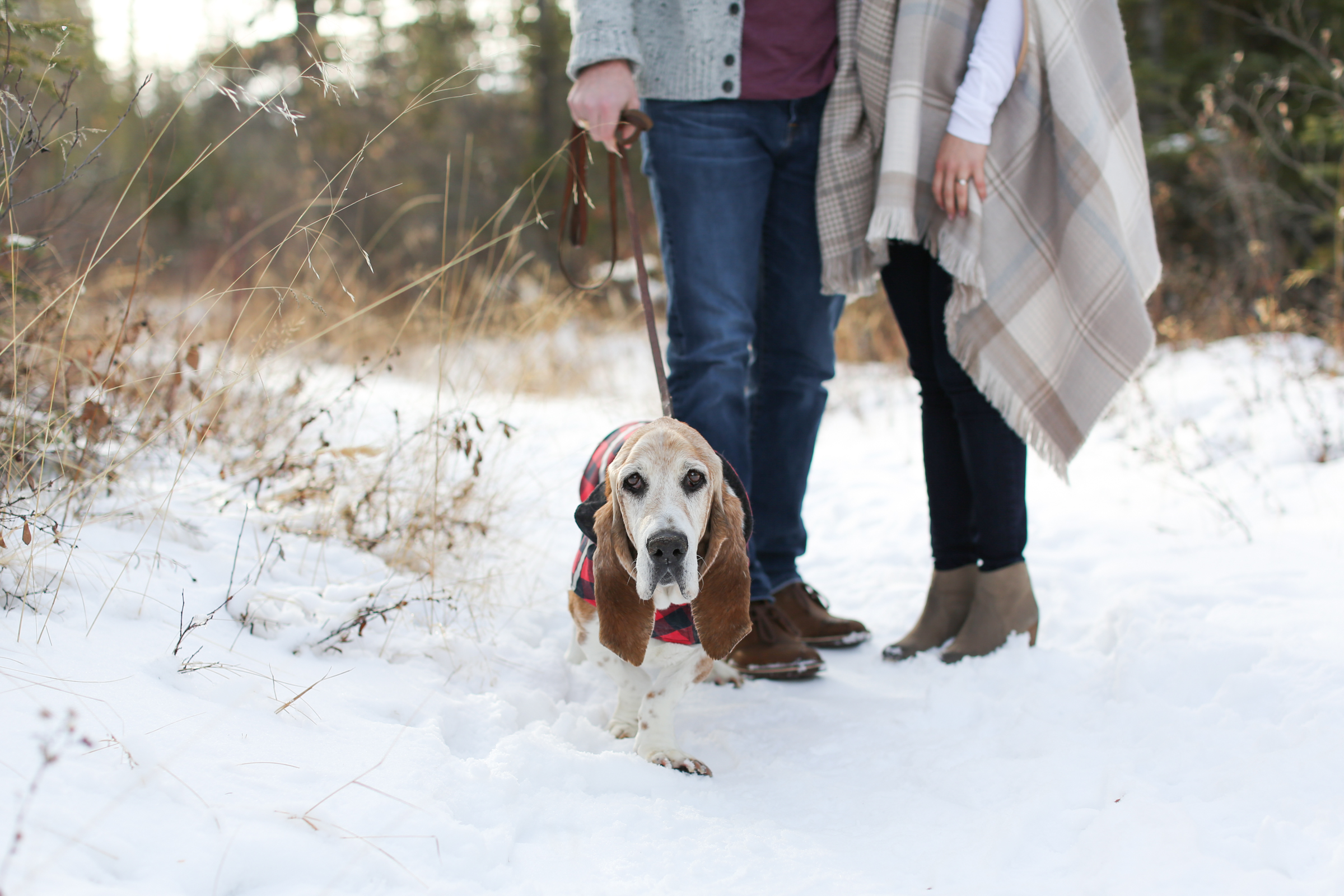 Katie+Chris-Engagement-20.jpg