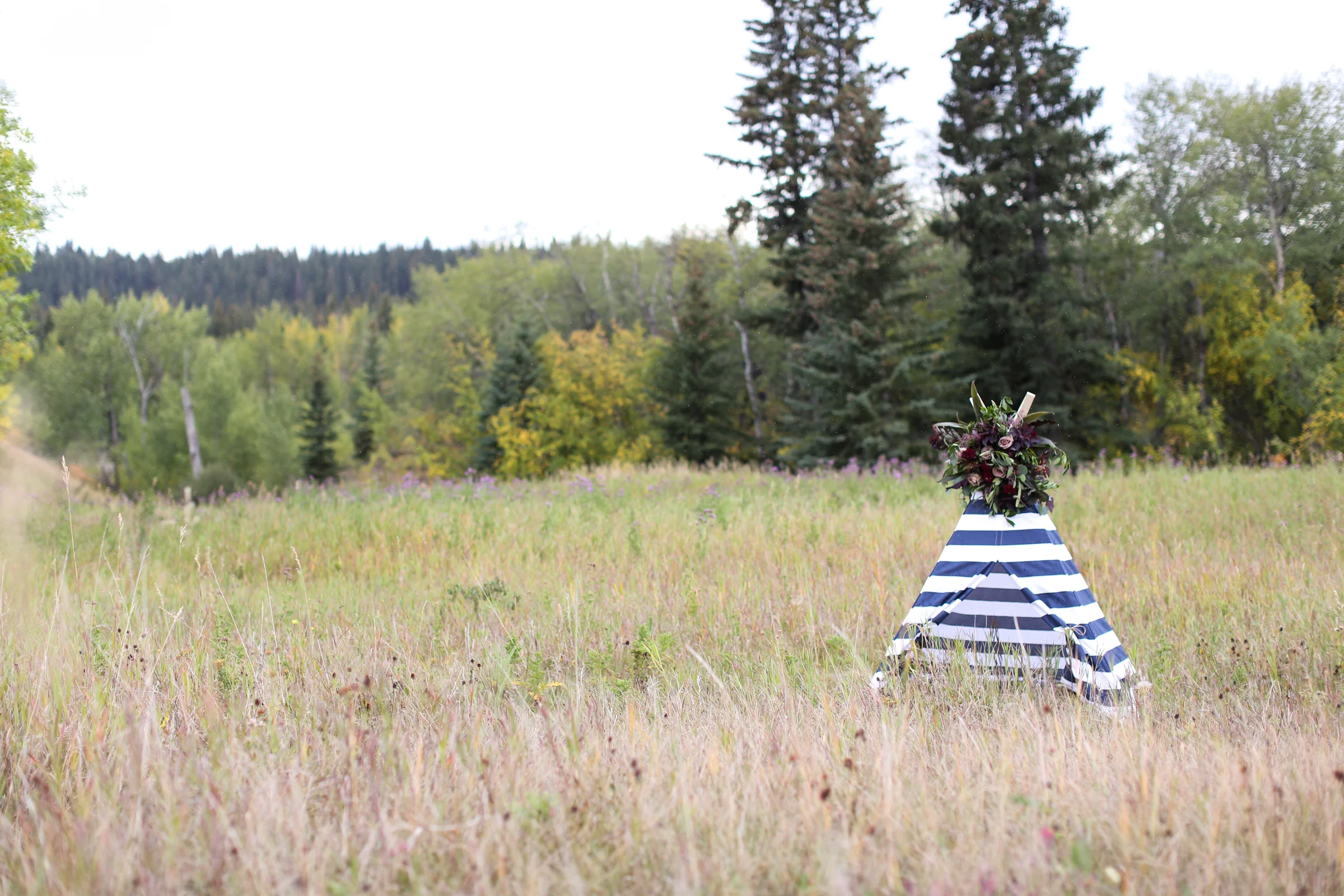 Fall-Family-Creative-Lindsay_Skeans_Photography-4.jpg