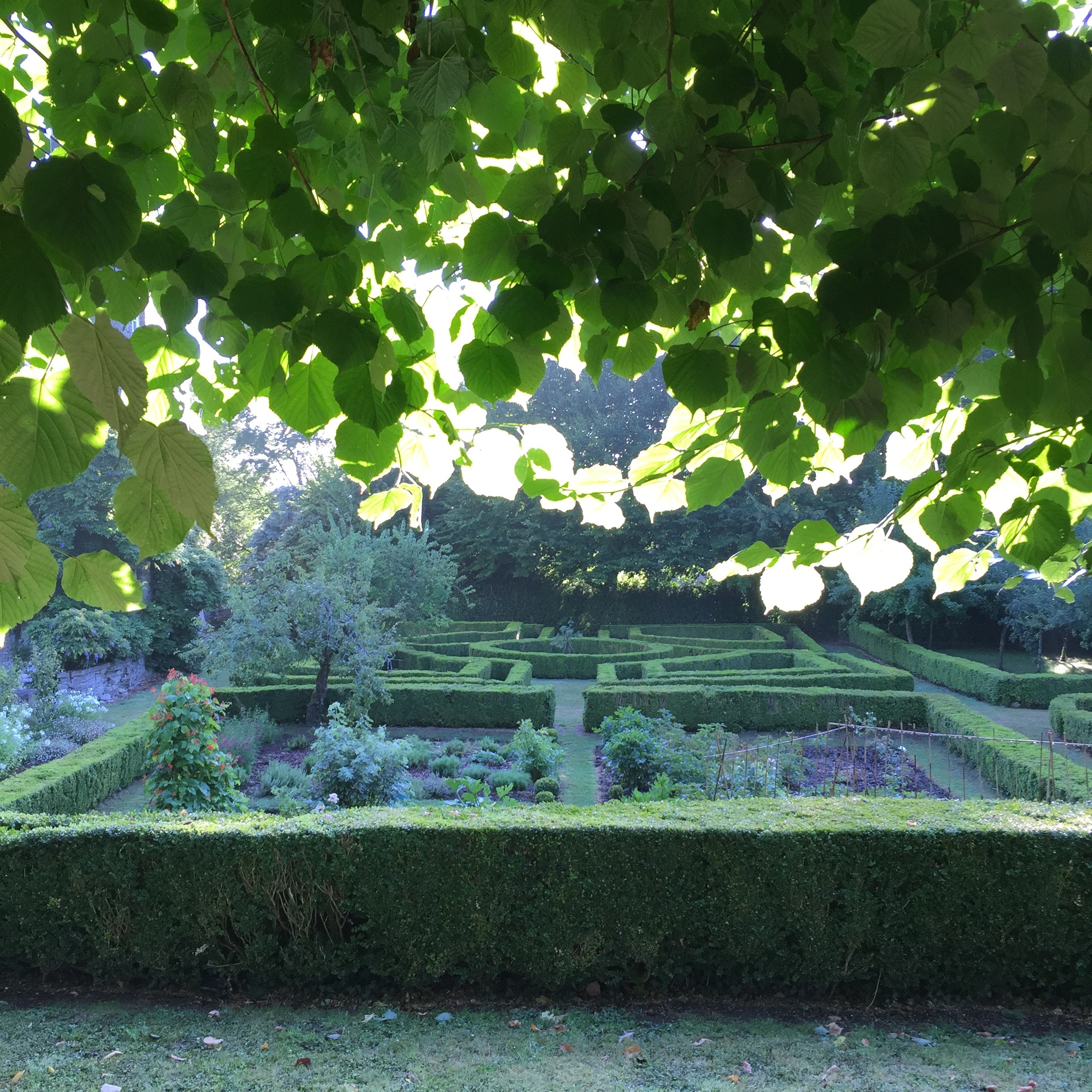 Gardens at Chateau de La Rongere