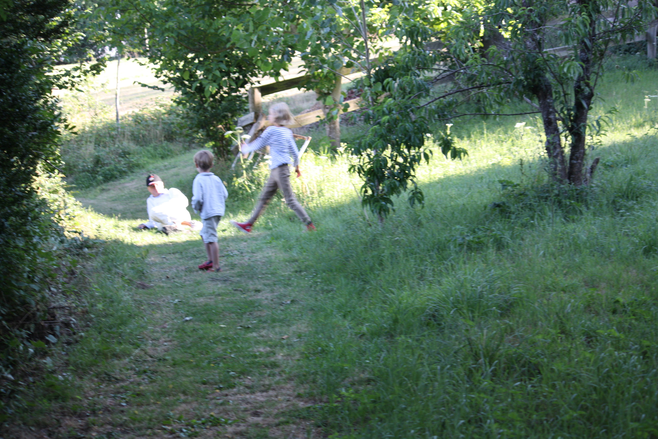 Gardens and fields at Chateau de La Rongere