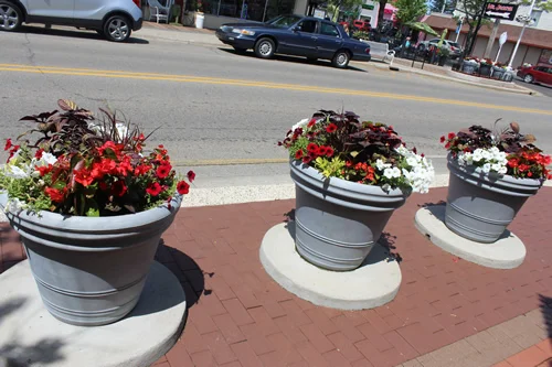 flowers 1.jpg