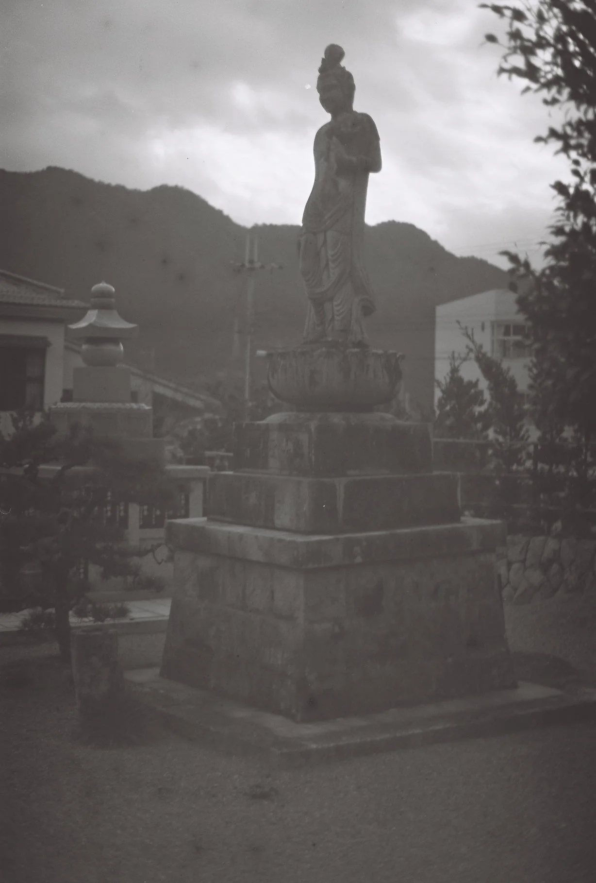 R1-00530-0009.JPG