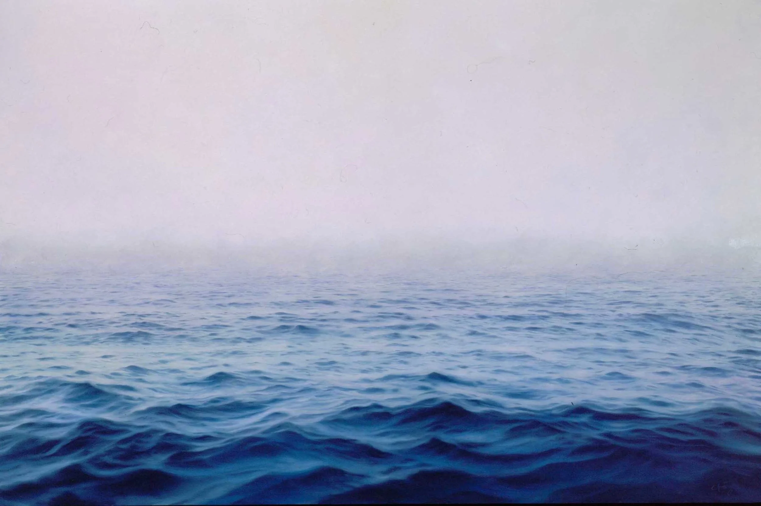 bluefin