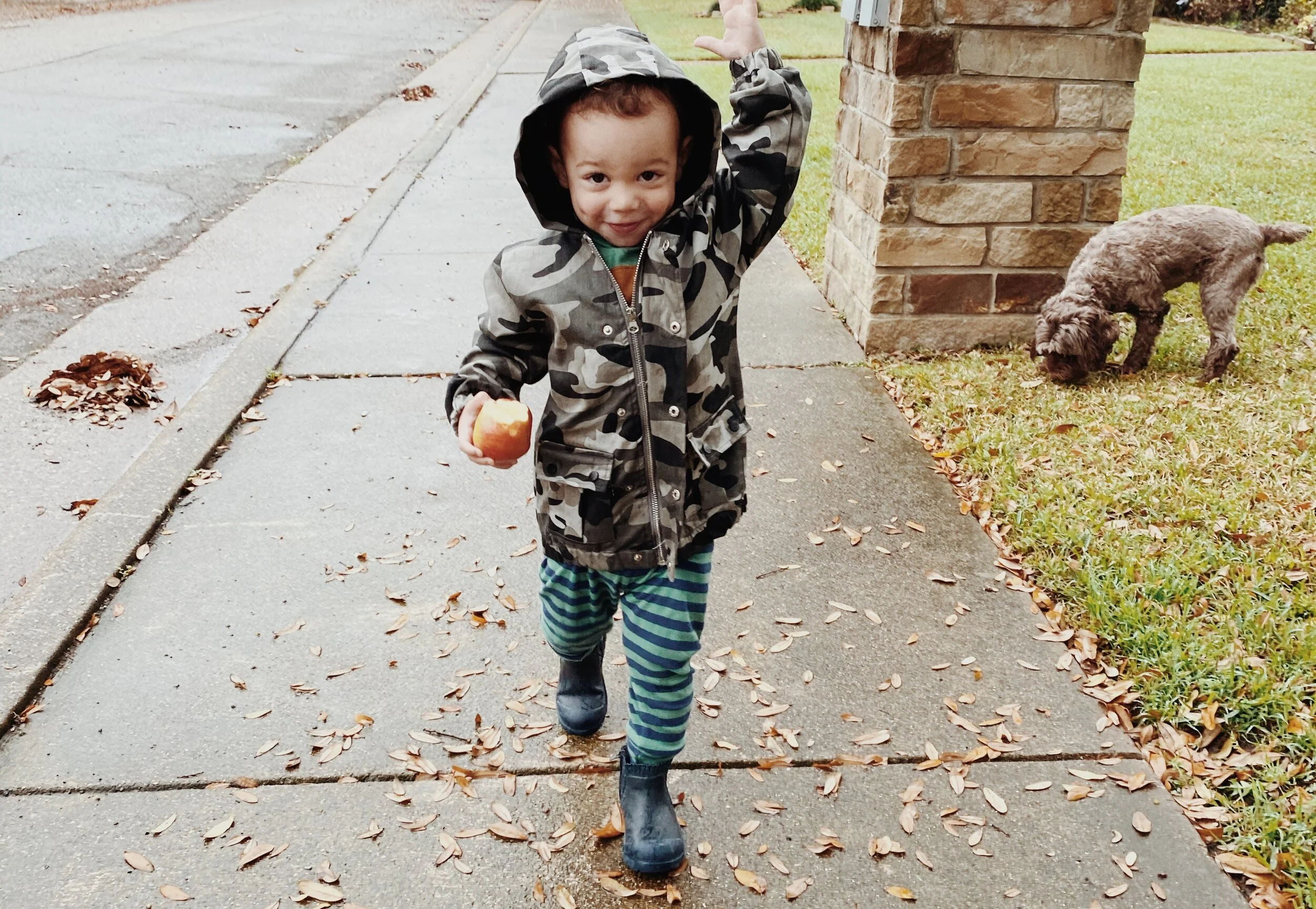 Staying Home Survival Guide
