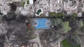 Adapt2Win Launch Film