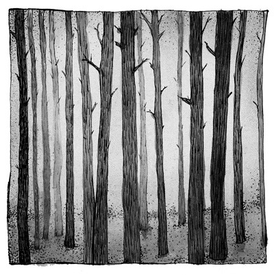Trees - Black and White Forest Art Print — Drawn Together Art ...
