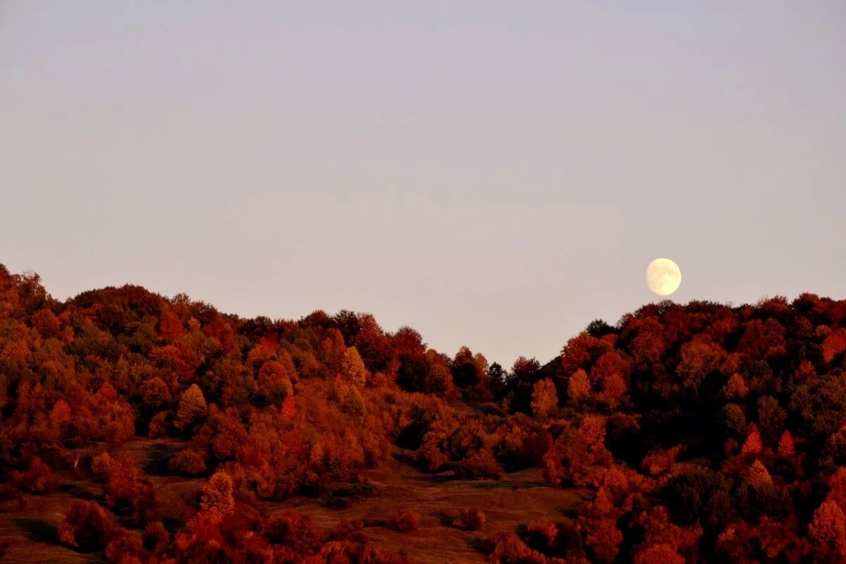What is a Hunter's Moon and When does it occur?