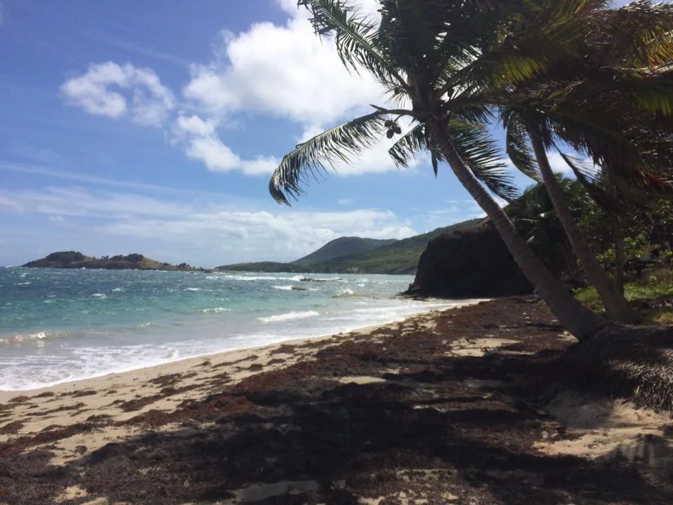 St Lucia Inspiration