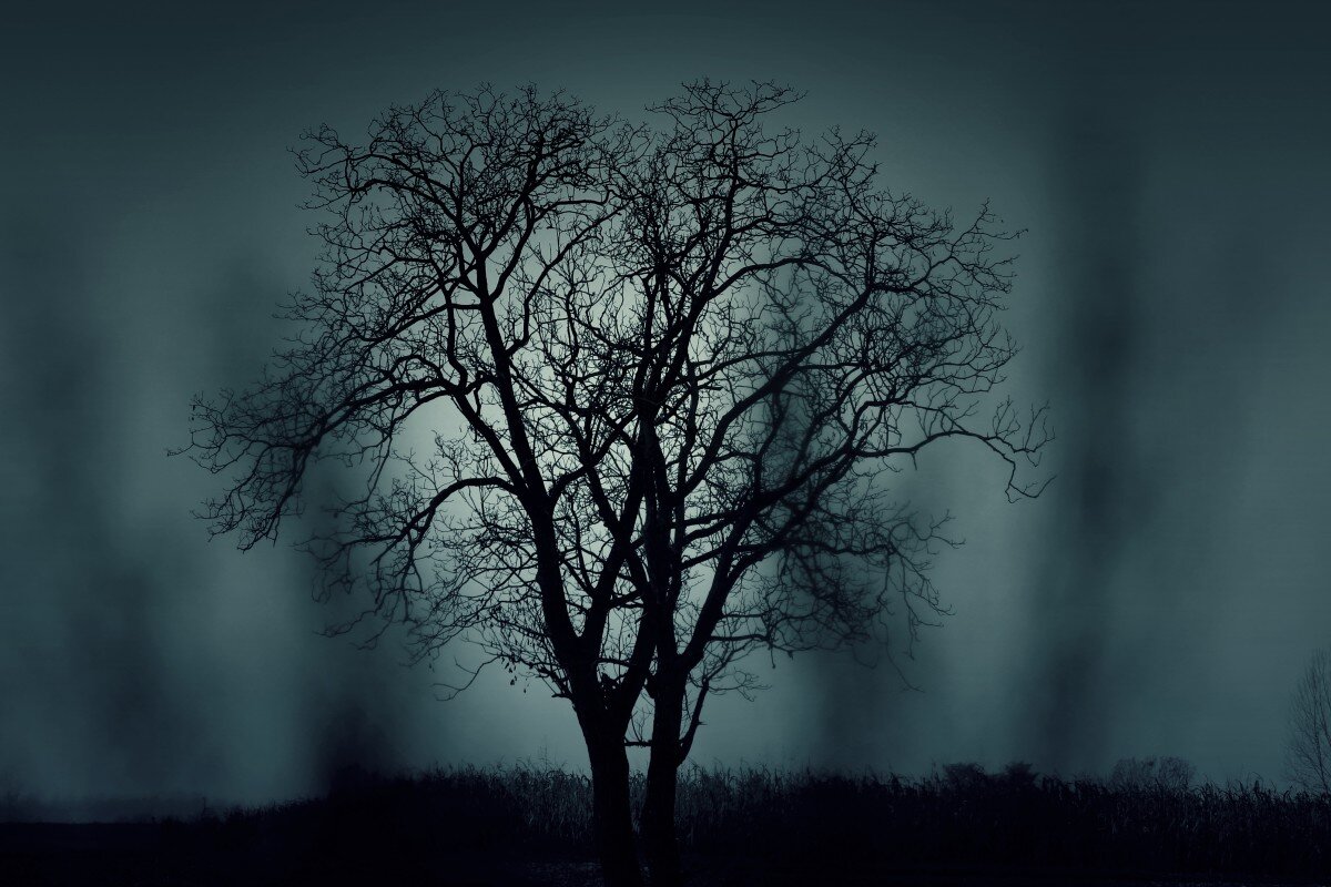 halloween 2020 ideas spooky walk autumn tree is dusk