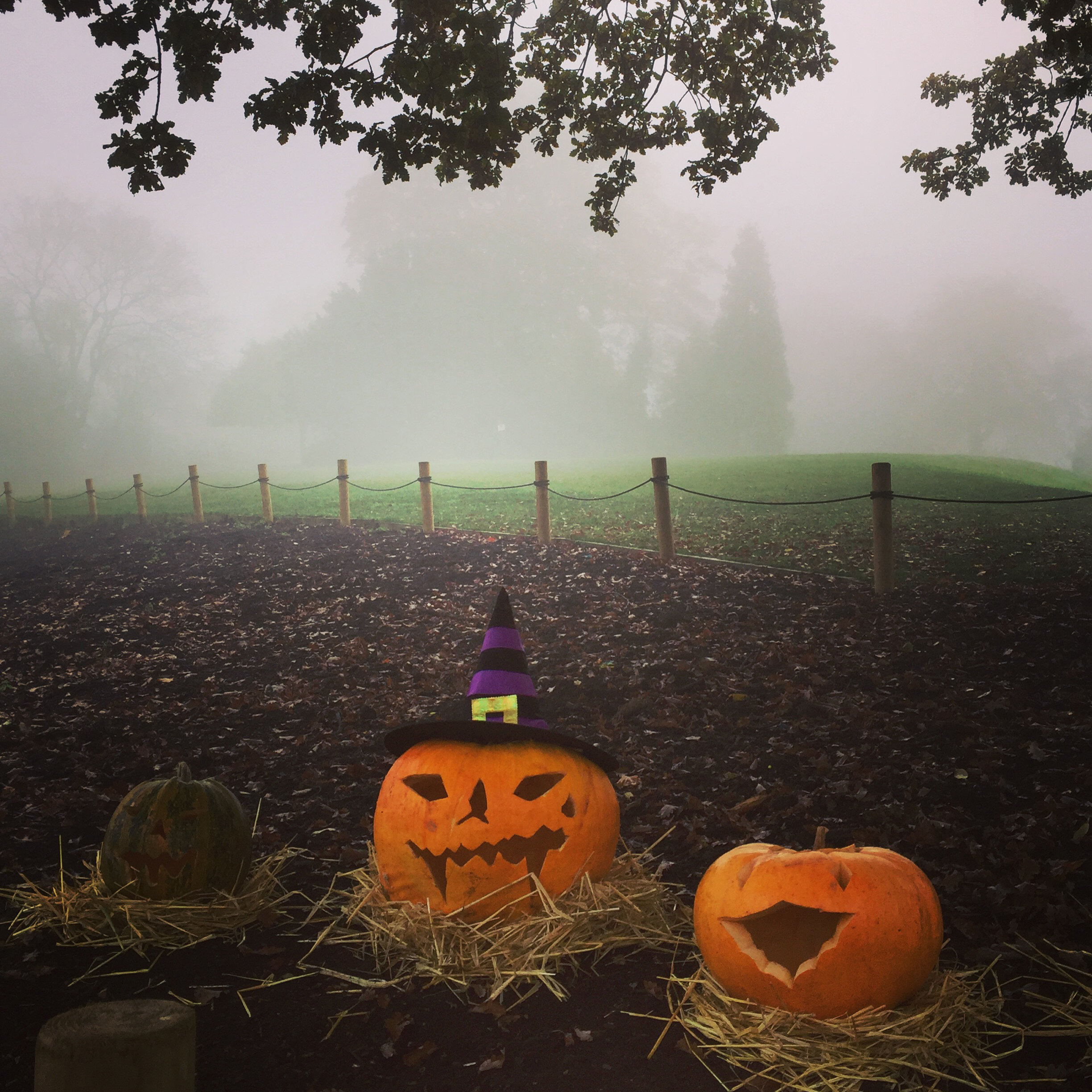 halloween 2020 ideas pumkins walk at dusk.jpg