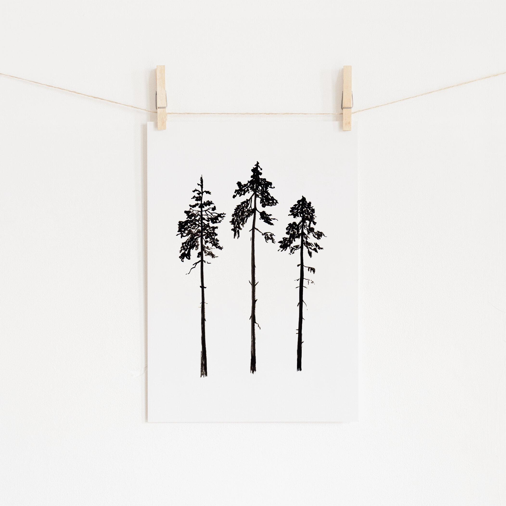 Pine Trees Drawing - Digital Download Art