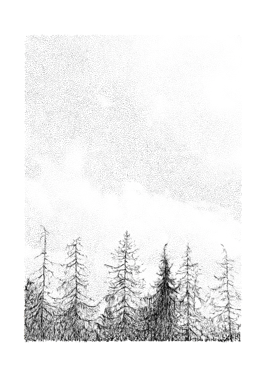 Pines+-Tree+Line.png