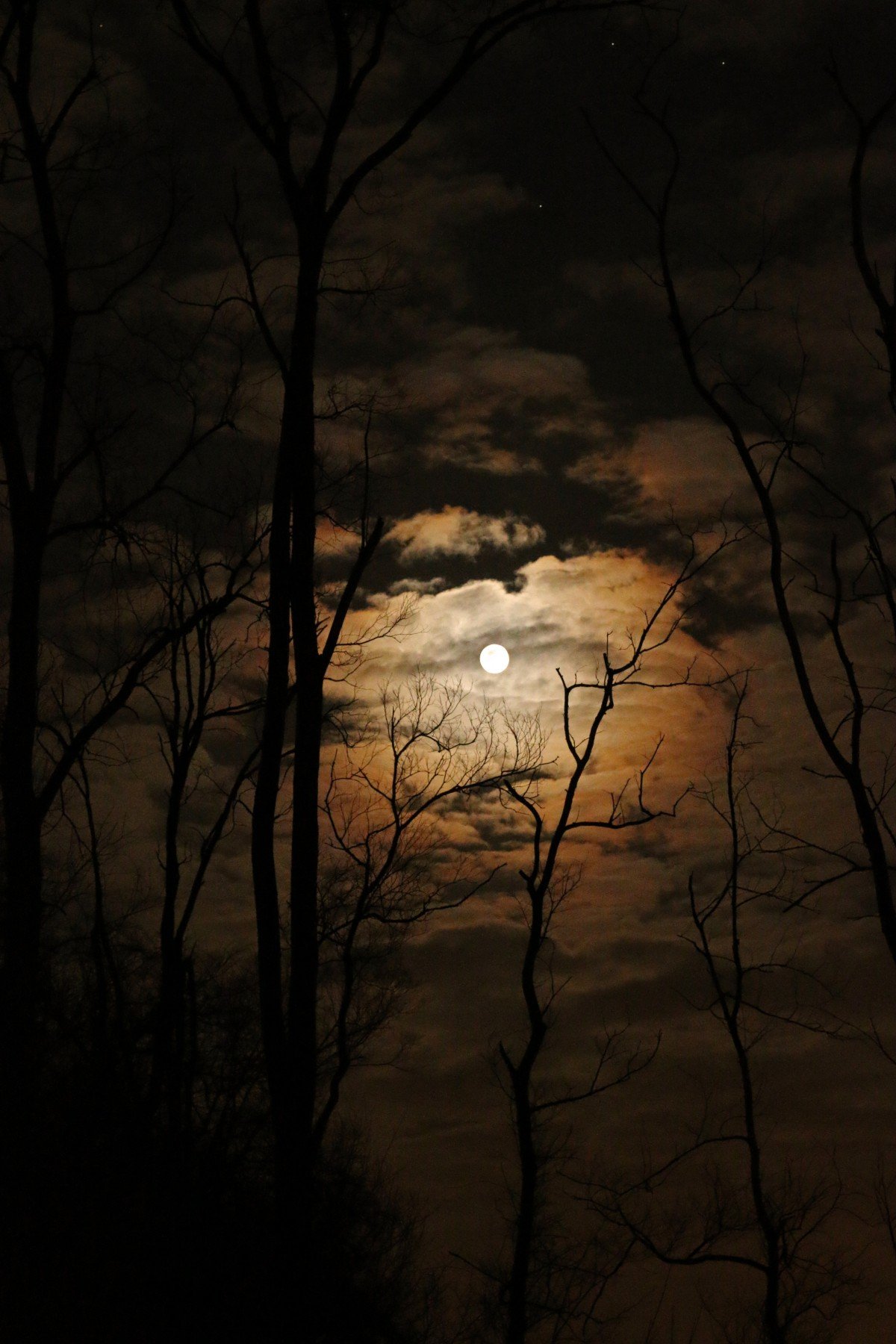 Samhain Pagan sabbath full_moon_dark_spooky_sky_clouds_moon_night_full.jpeg