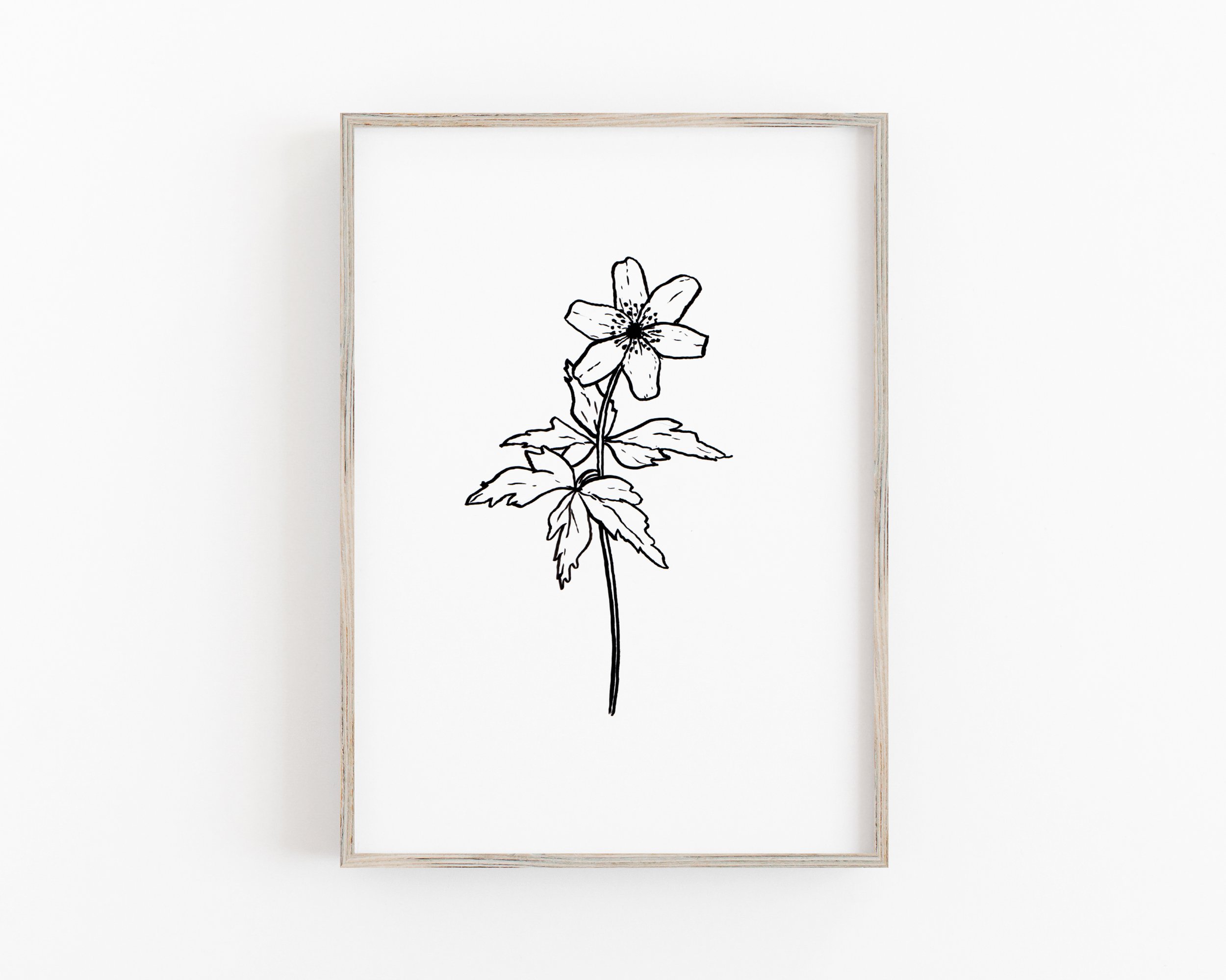 Windflower Wood Anemone Digital download printable art white frame.jpg