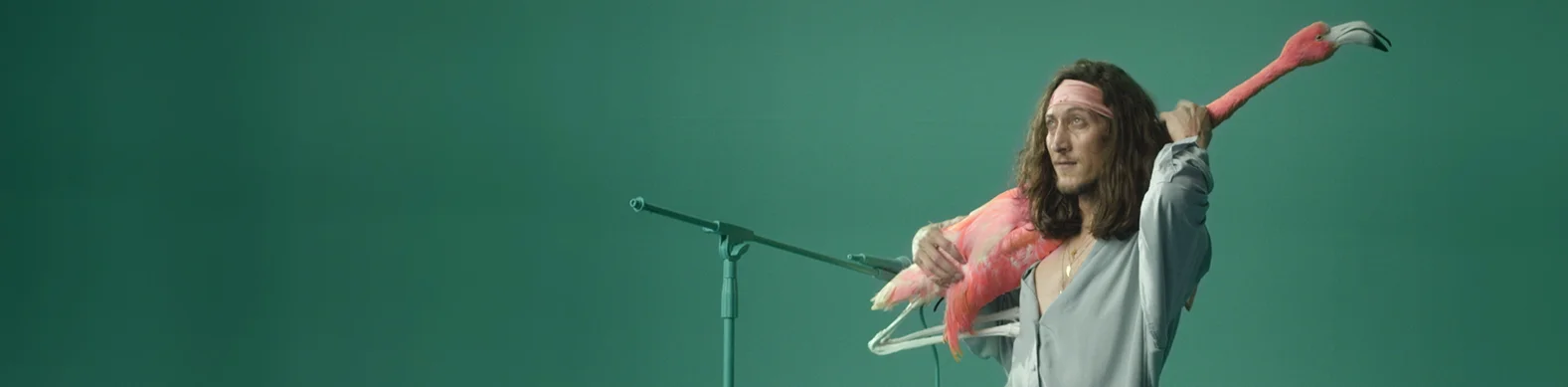 Flamingo_01.jpg