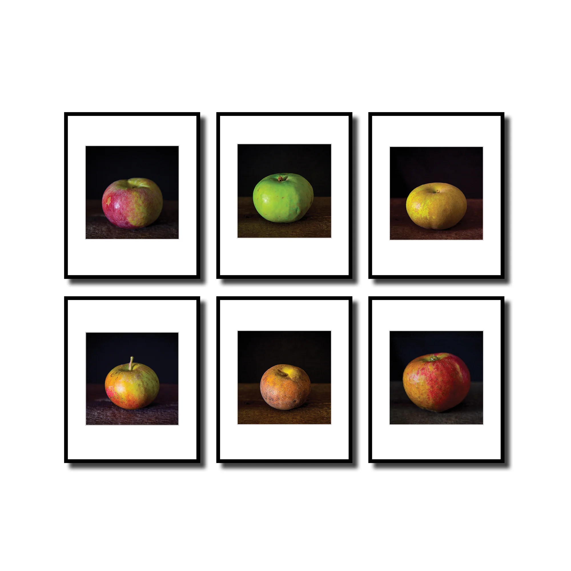 set 6.jpg