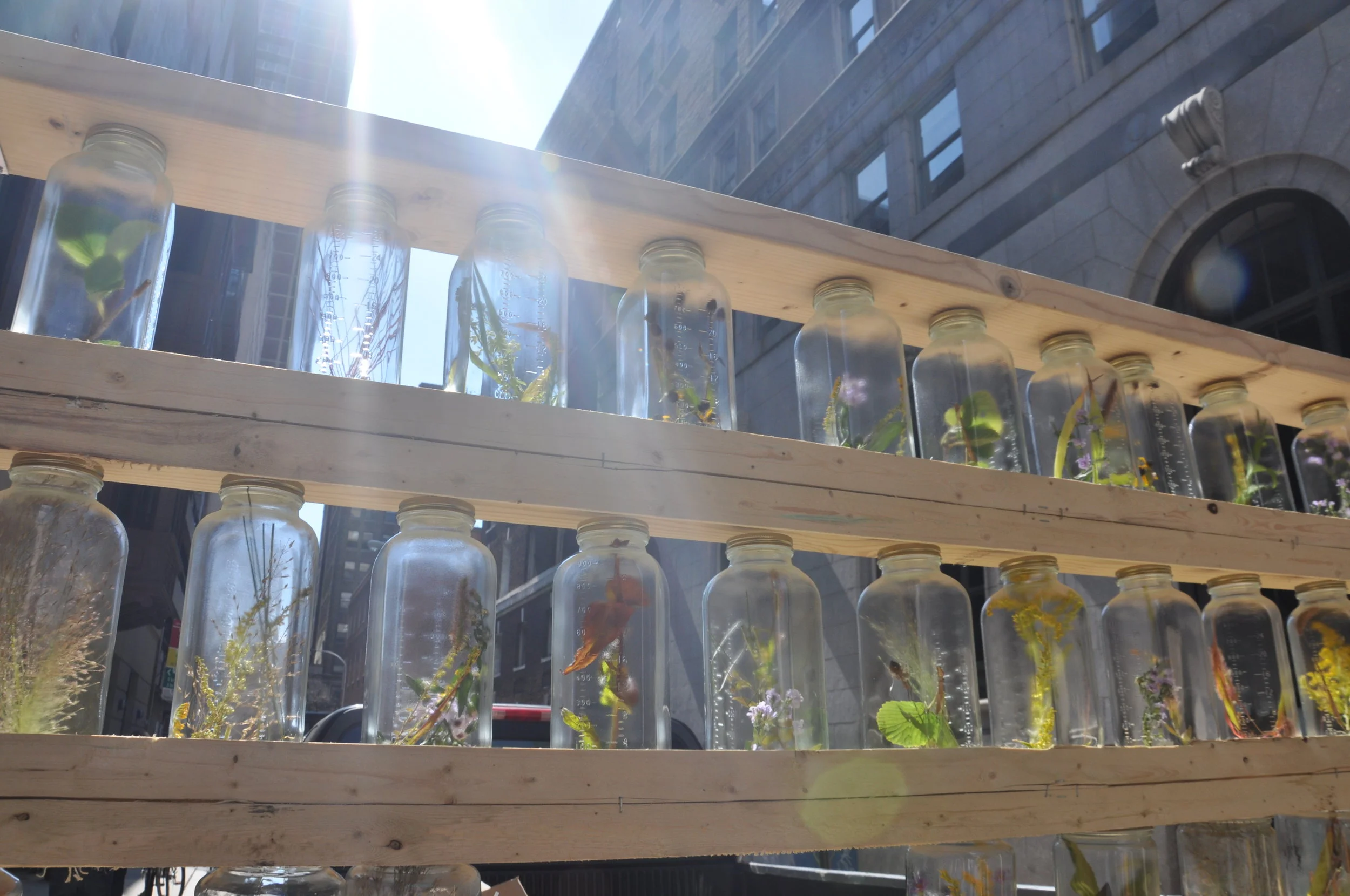  Park(ing) Day 2014: Play 