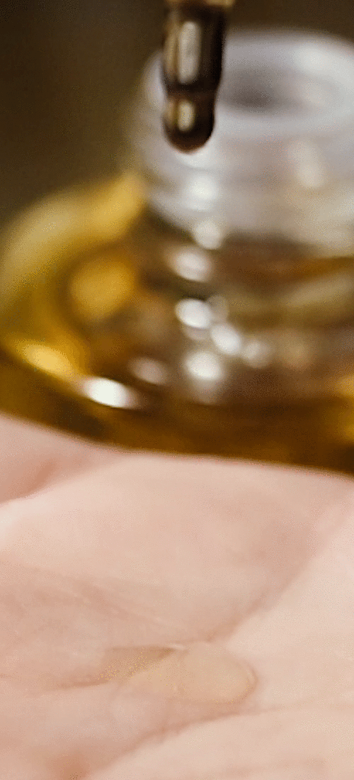 african-botanics-marula-oil.gif