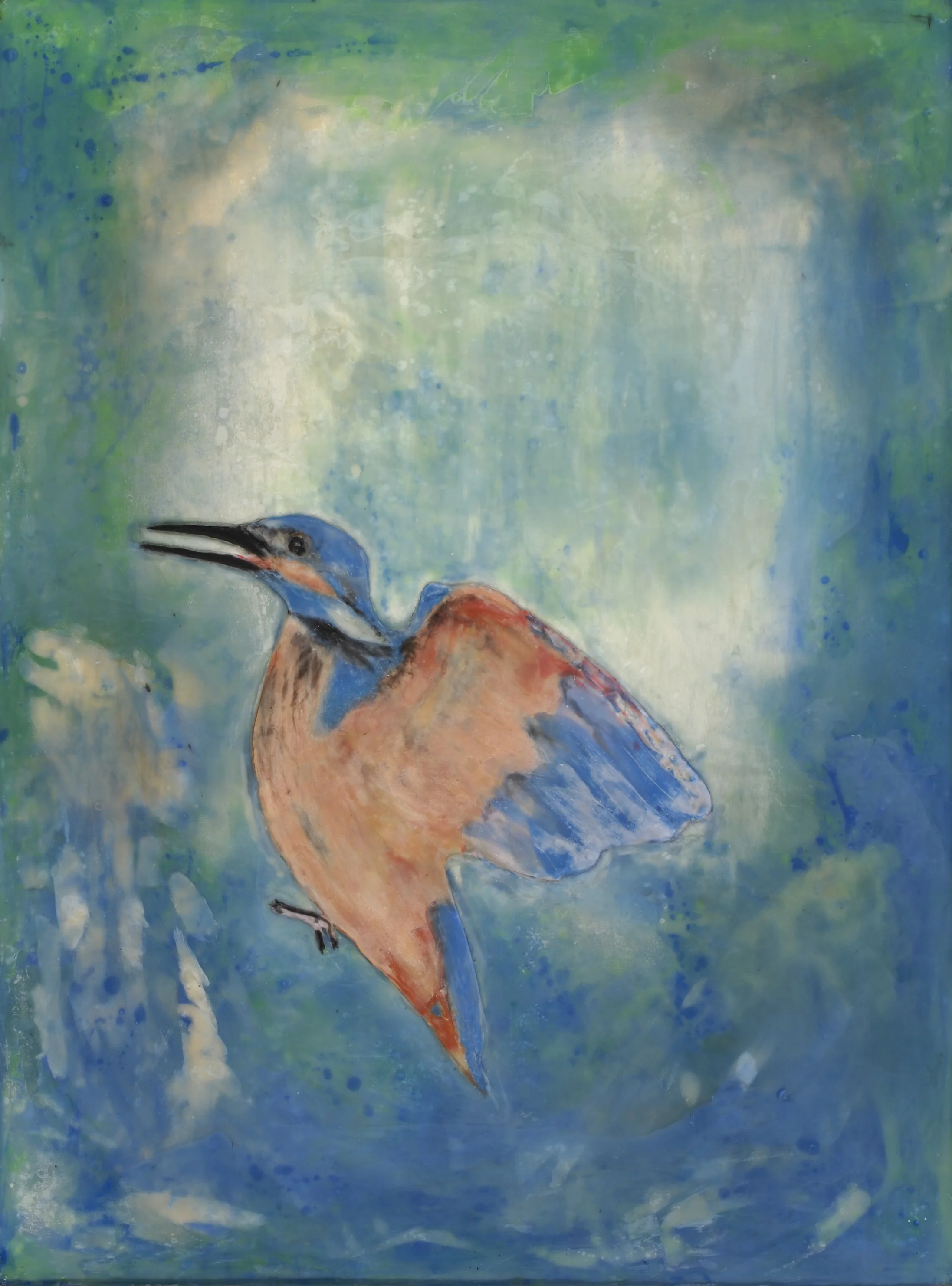 Kingfisher