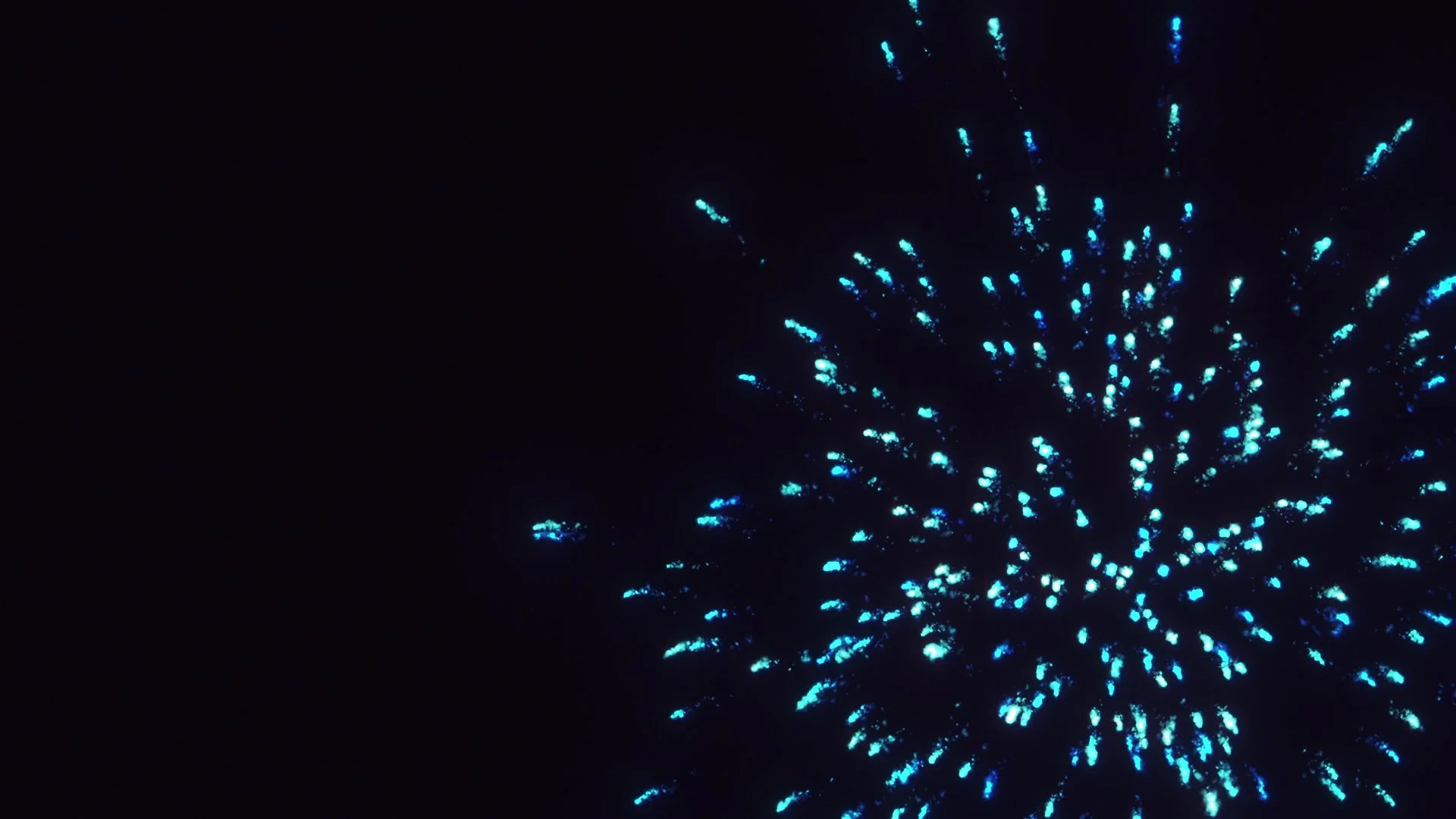 New Years Eve Extravaganza 7:00pm