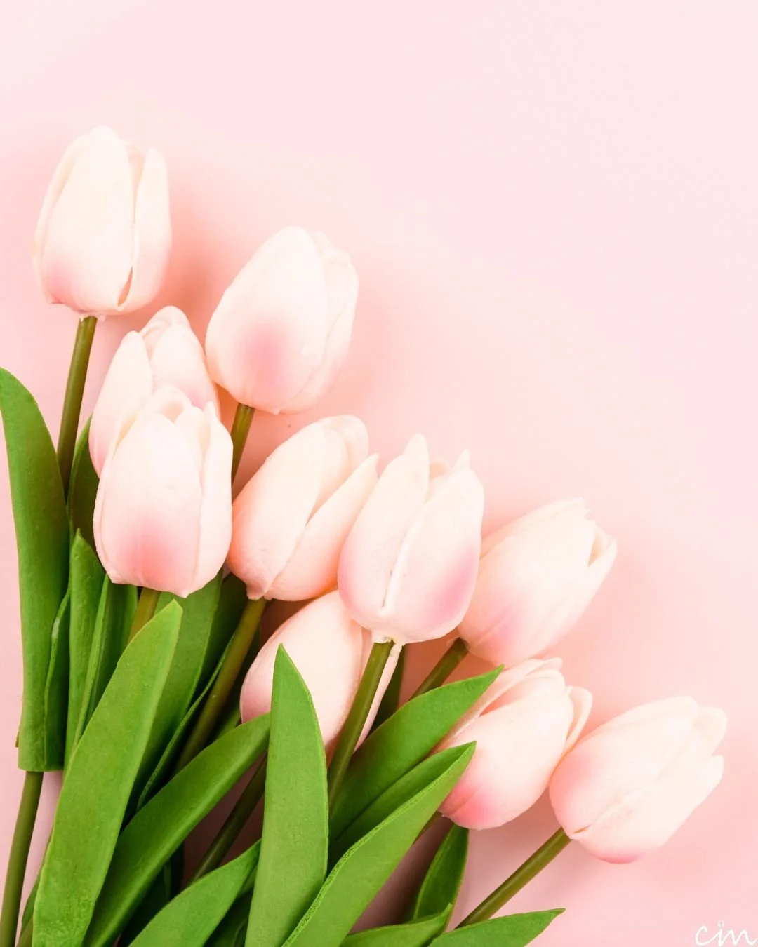 Mother's Day Breakfast Fundraiser