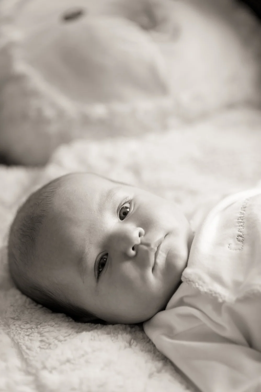 150206_035-Edit-2-2.jpg