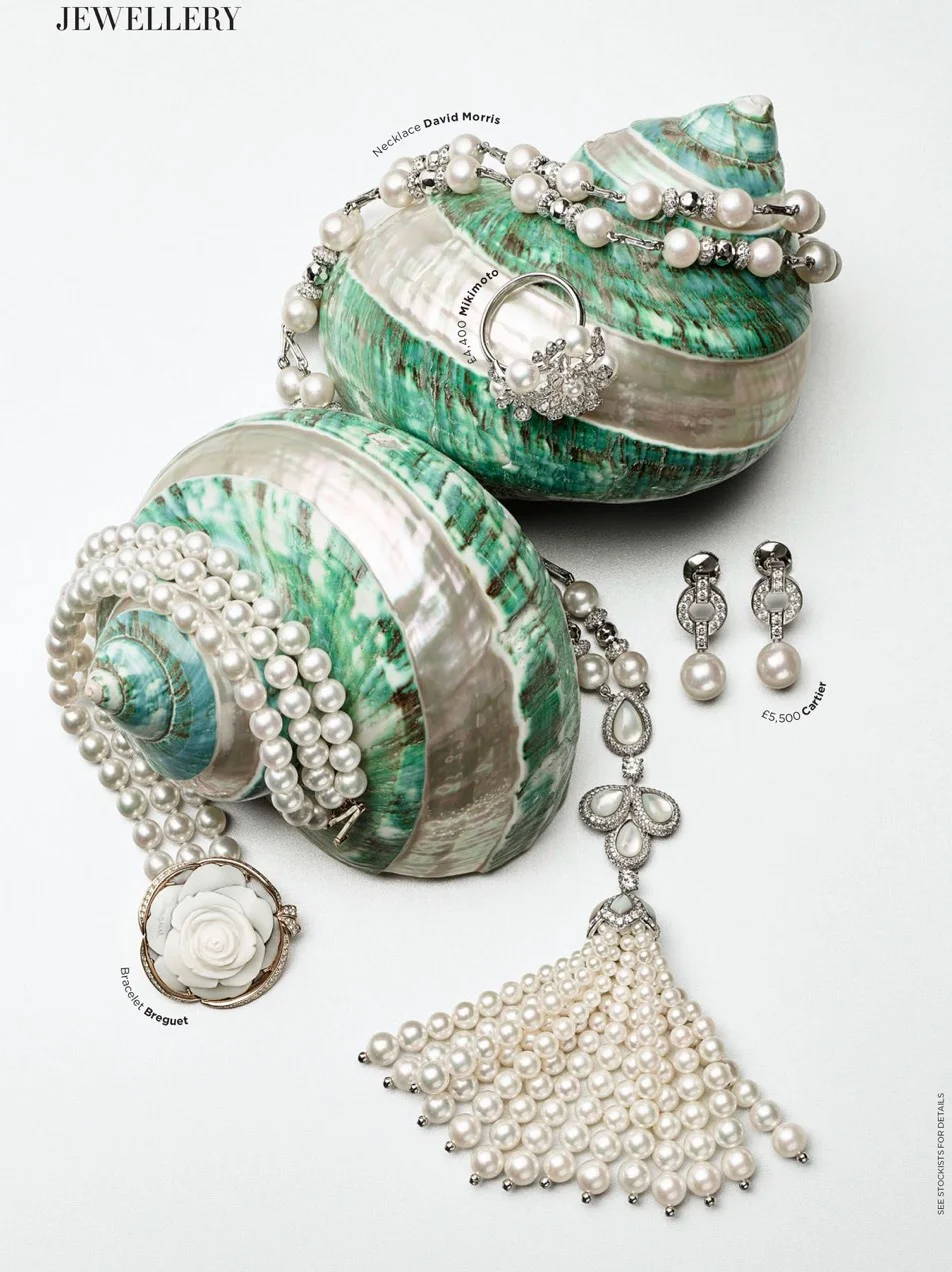 JEWELLERY-_-SHELLS-V2_pdf_spread-2_2x.jpg