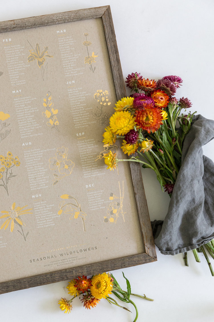 Wildflowers.jpg