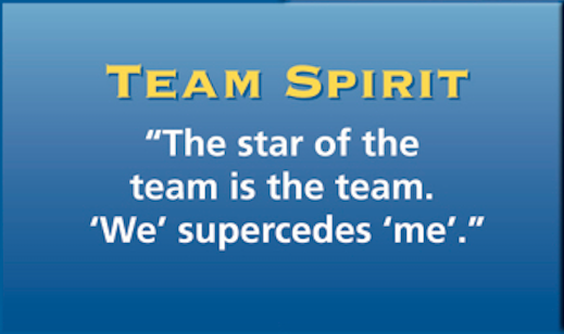 Team-Spirit.png