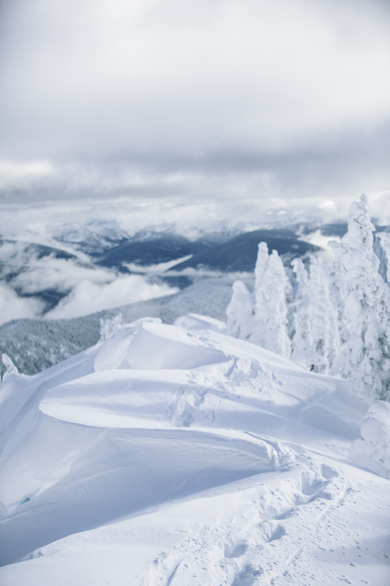 Tracks to the Untracked