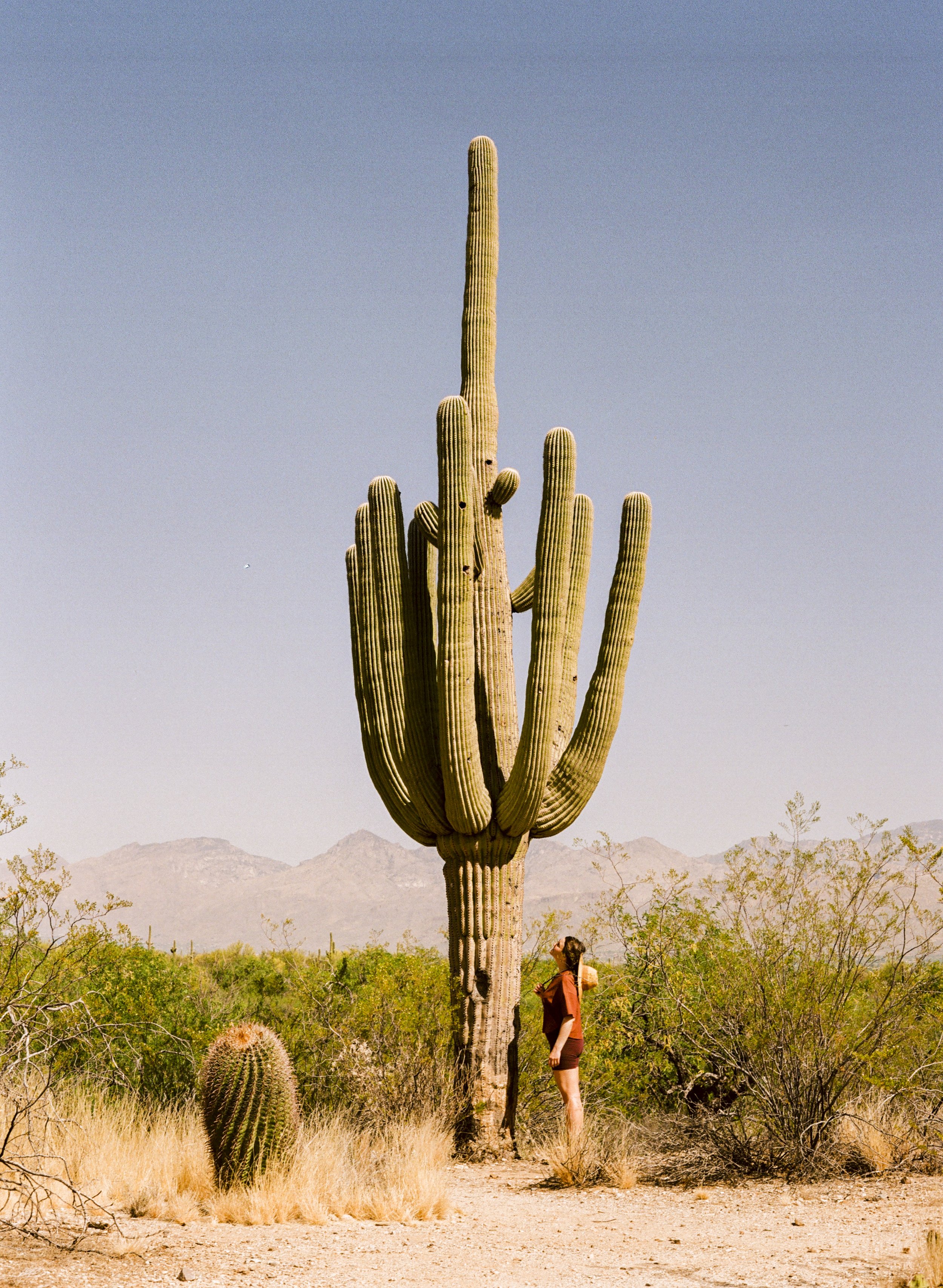 kodak_gold_200_05_25_2022_000039040013.jpg