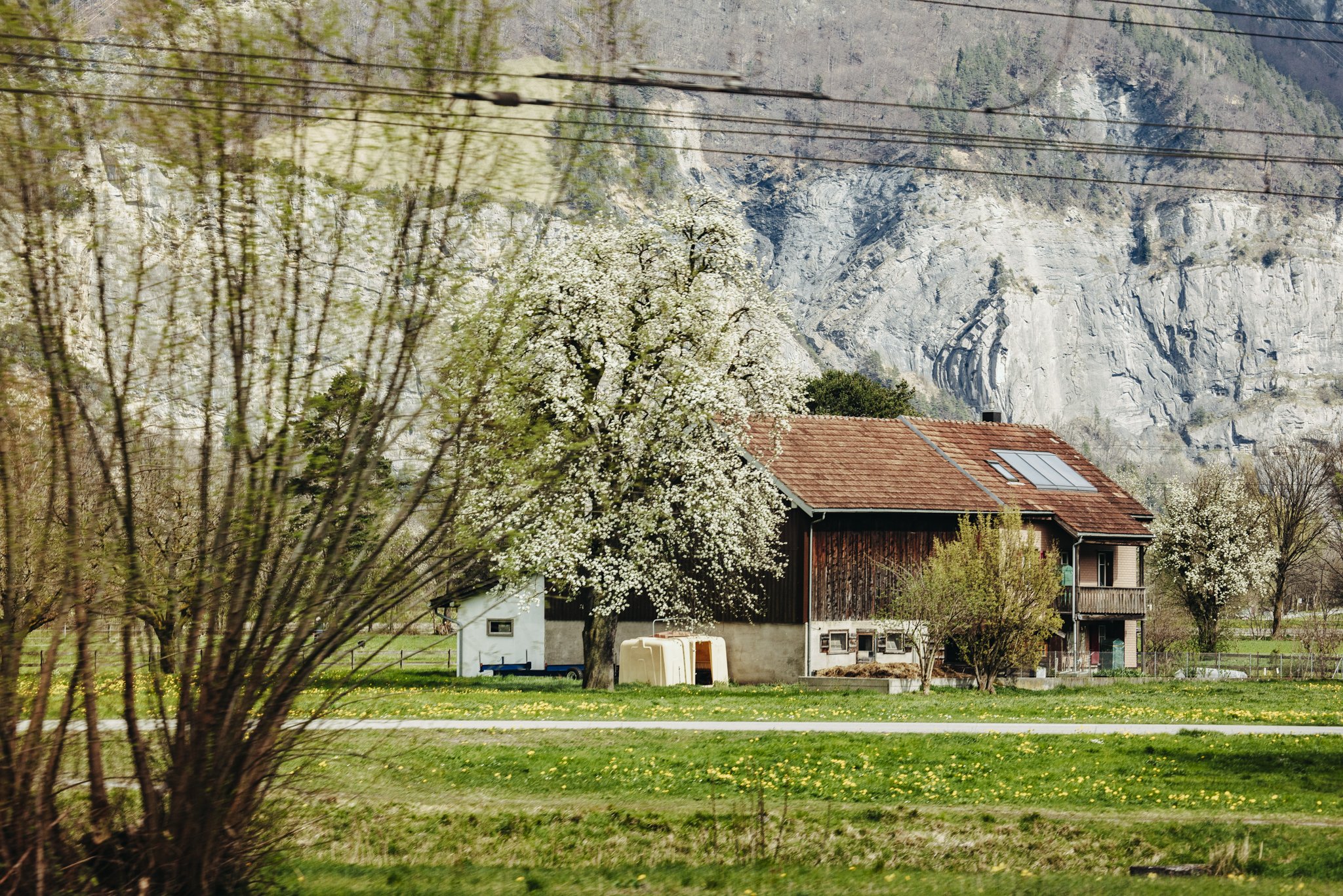TrainScenery_LAAX-to-Zurich_SU_BrandonParrish_1606.jpg