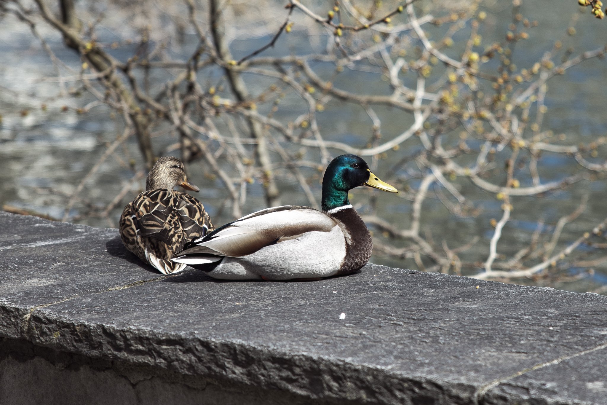 Enviro_Zurich_Switzerland_BrandonParrish_3141.jpg