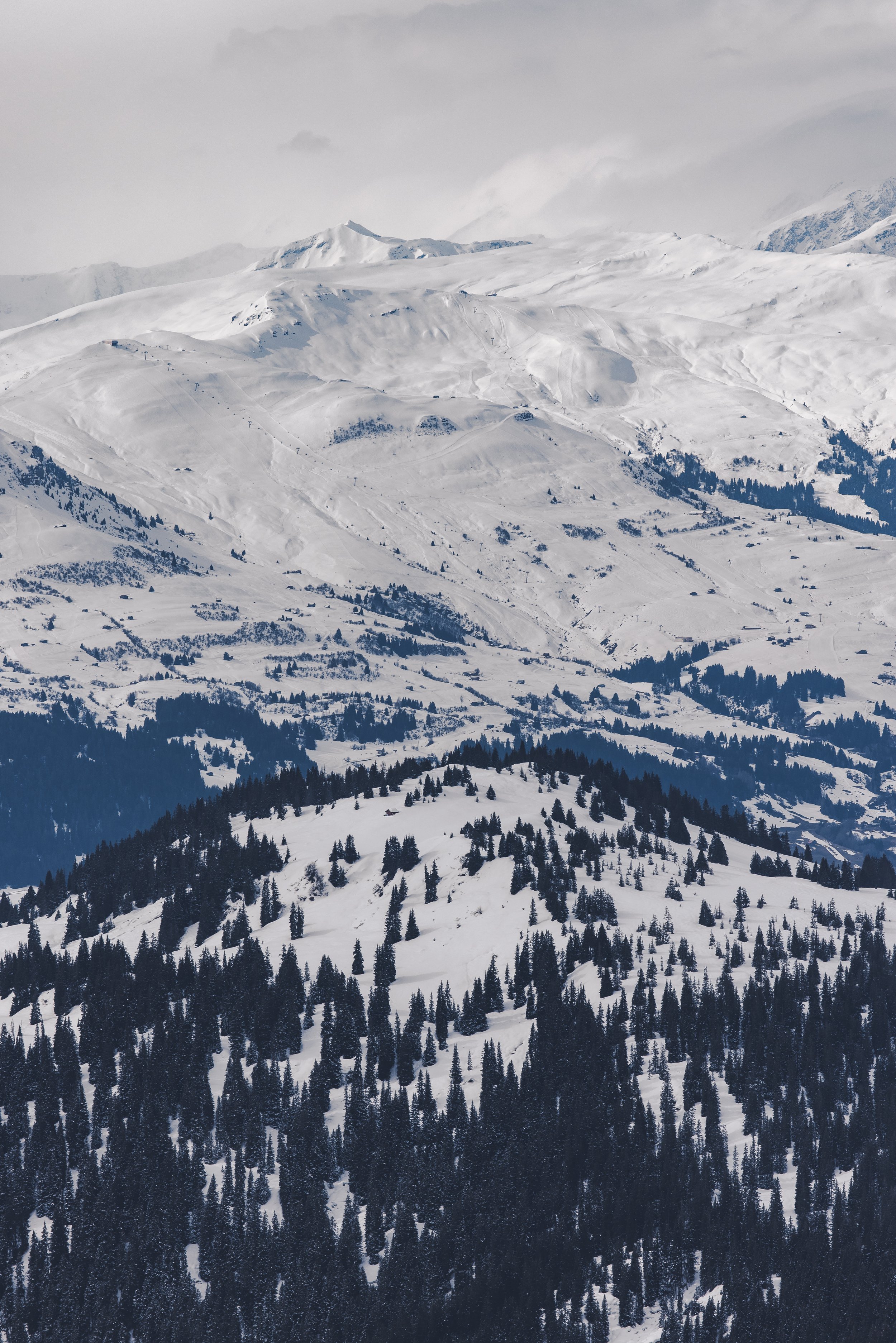Enviro_Day2_LAAX_Switzerland_BrandonParrish_0004.jpg