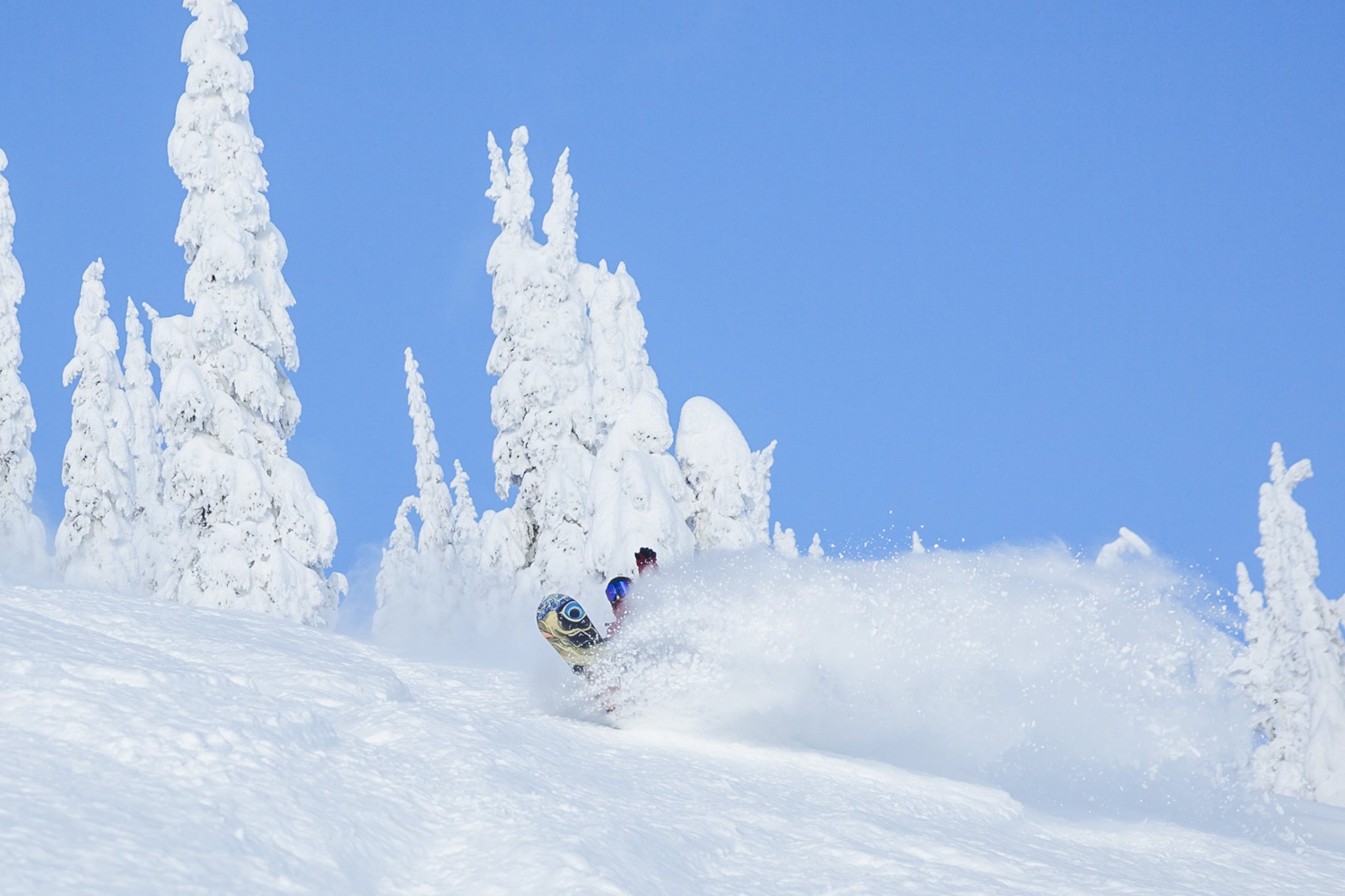 BlueMontgomery_Baldface_BC_Buck_2N3A2039.jpg