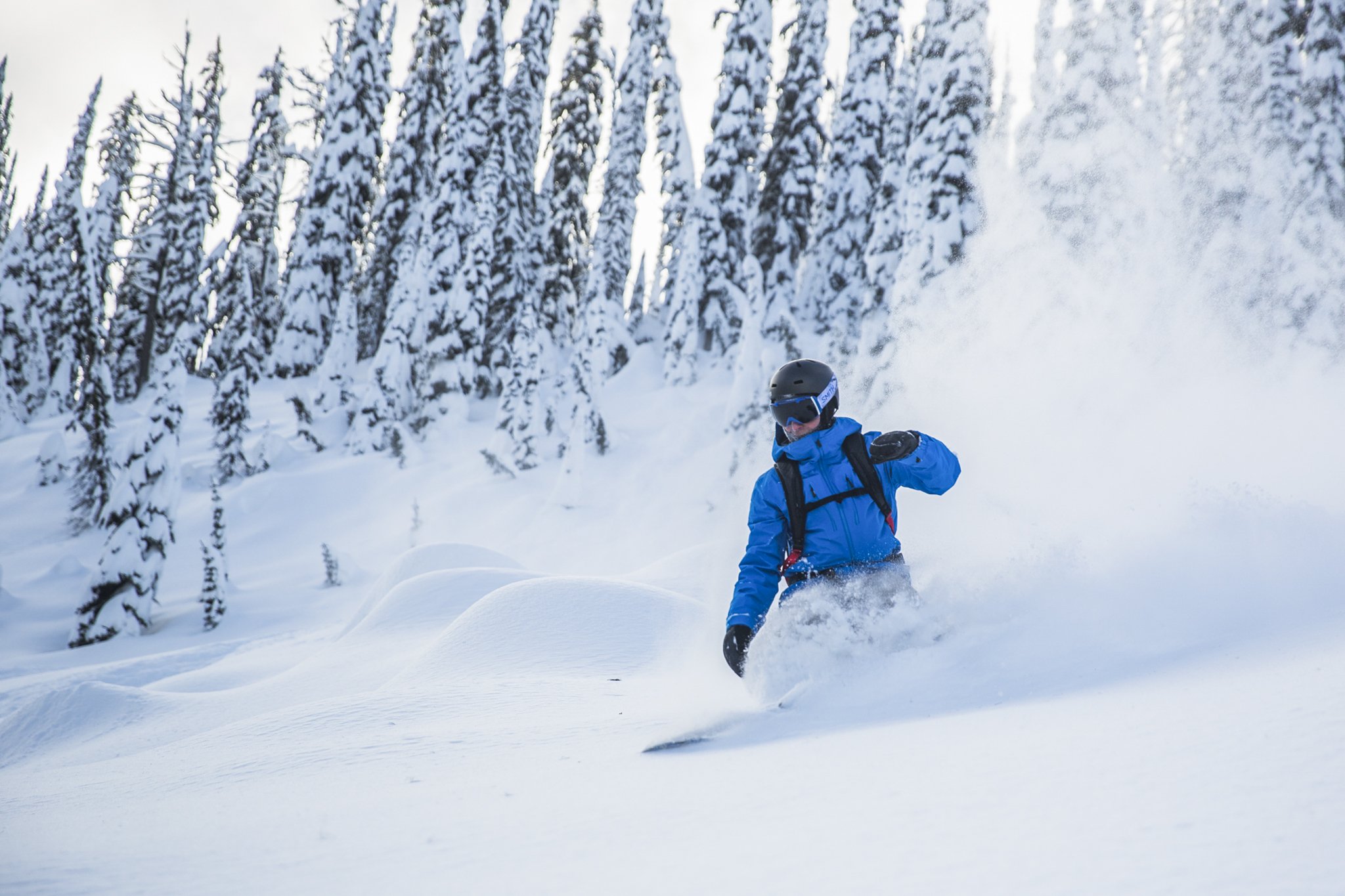 BradScheufelle_Baldface_BC_Buck_2N3A2119.jpg