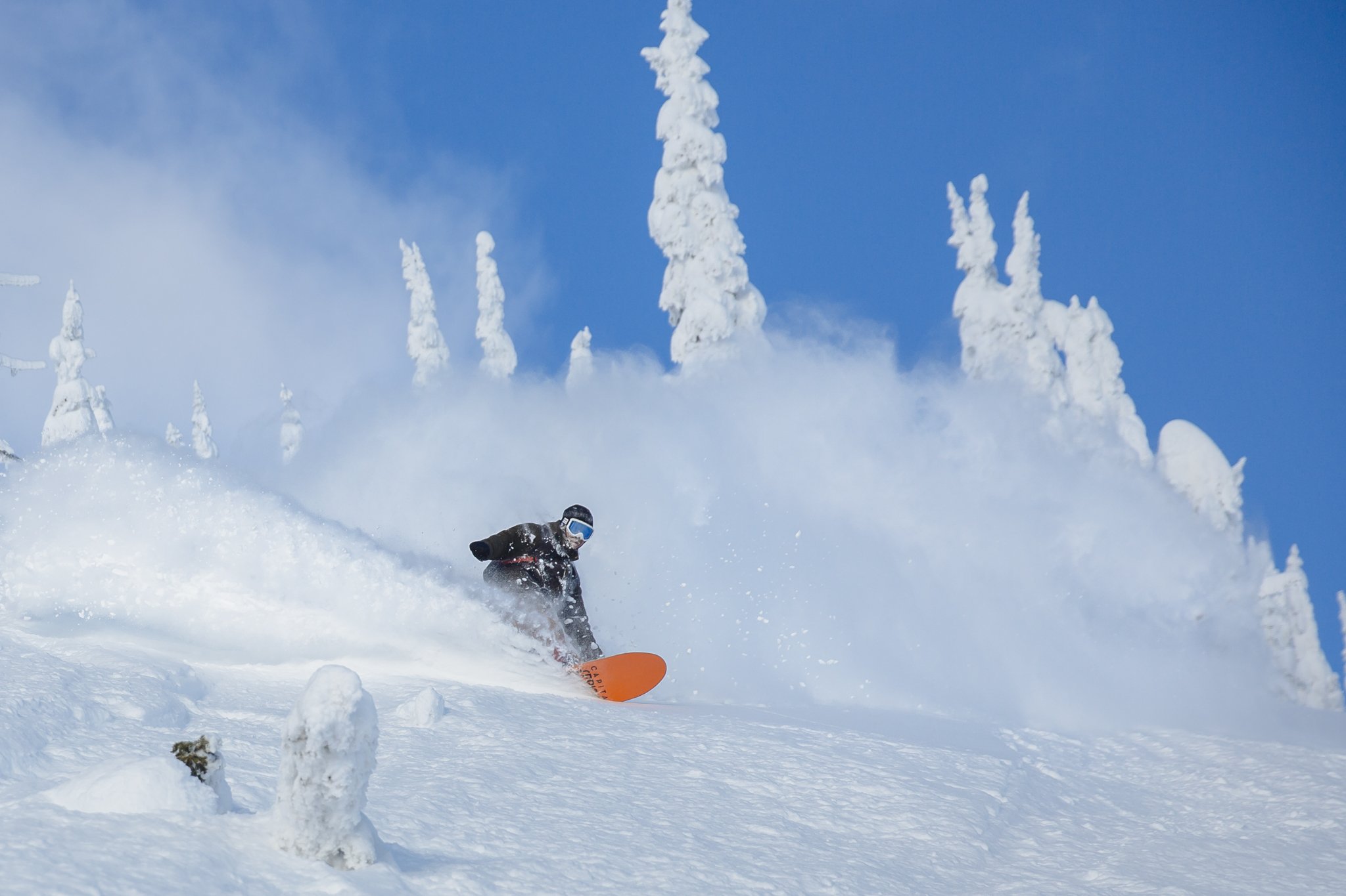 CoreySmith_Baldface_BC_Buck_2N3A1982.jpg